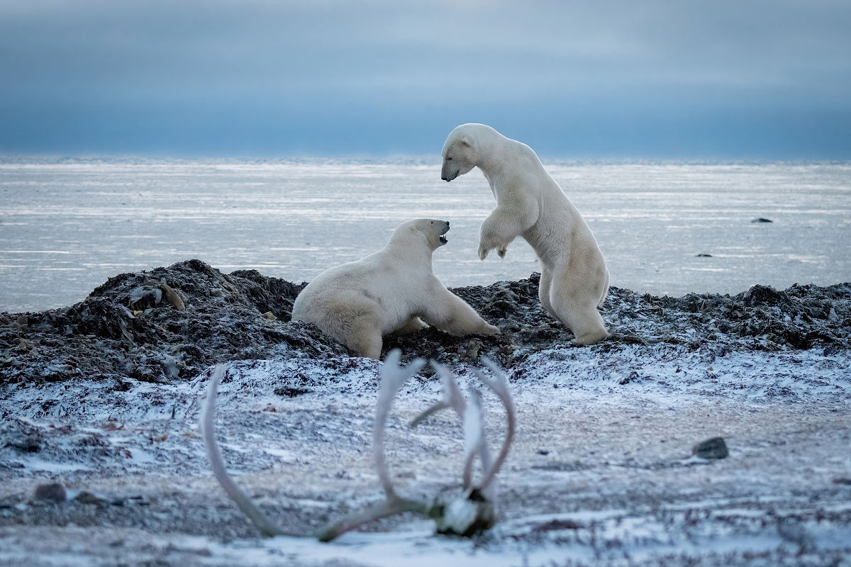提供5个中国品牌、性价比高、容量200AH以上、支持太阳能充电板的户外电源型号提供参数和价格