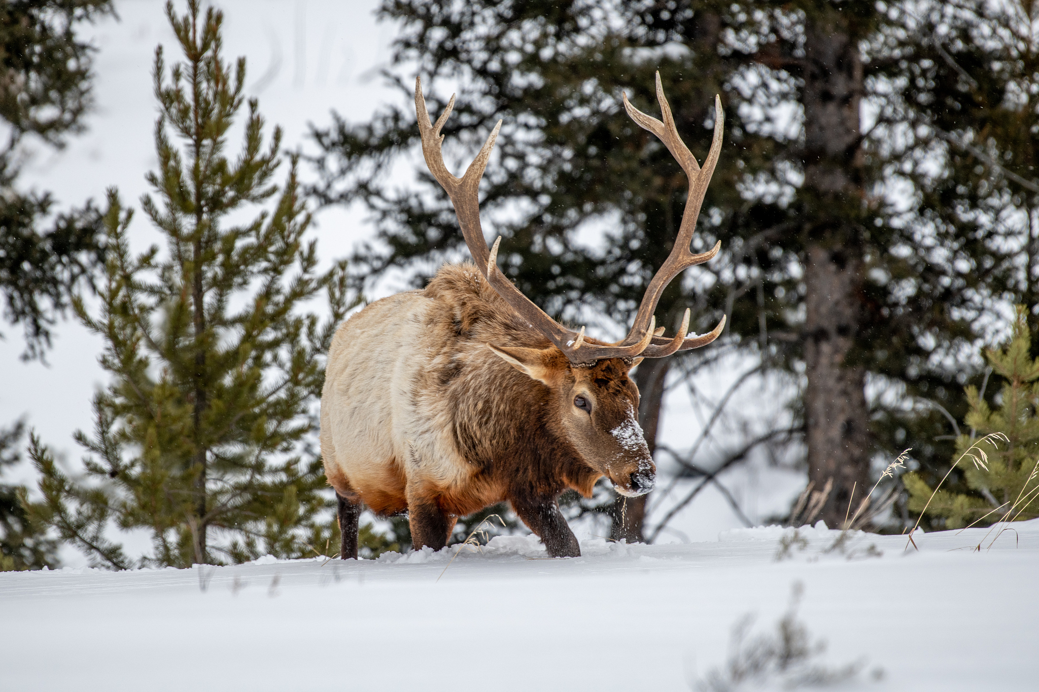 黄石道路桥梁混凝土裂缝分析：温度变化曲线与裂缝分布研究