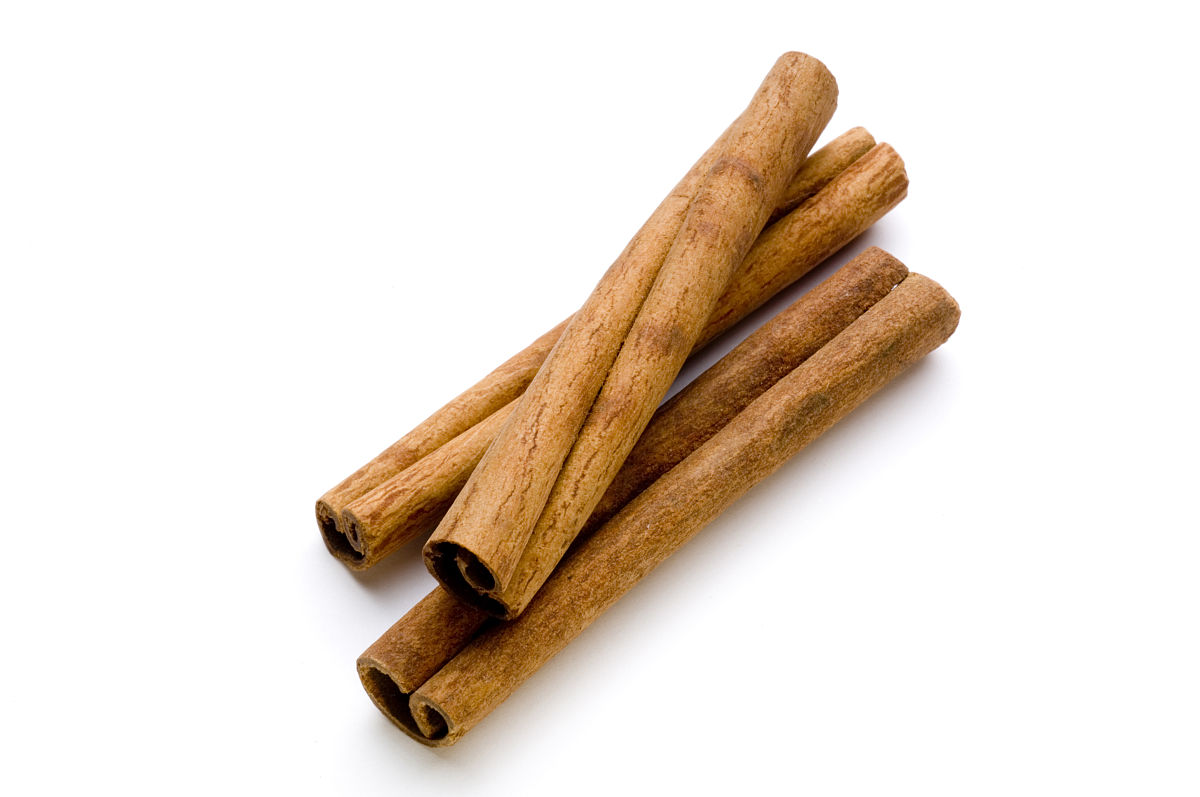 大学宿舍卫生检讨及整改计划 - 500字