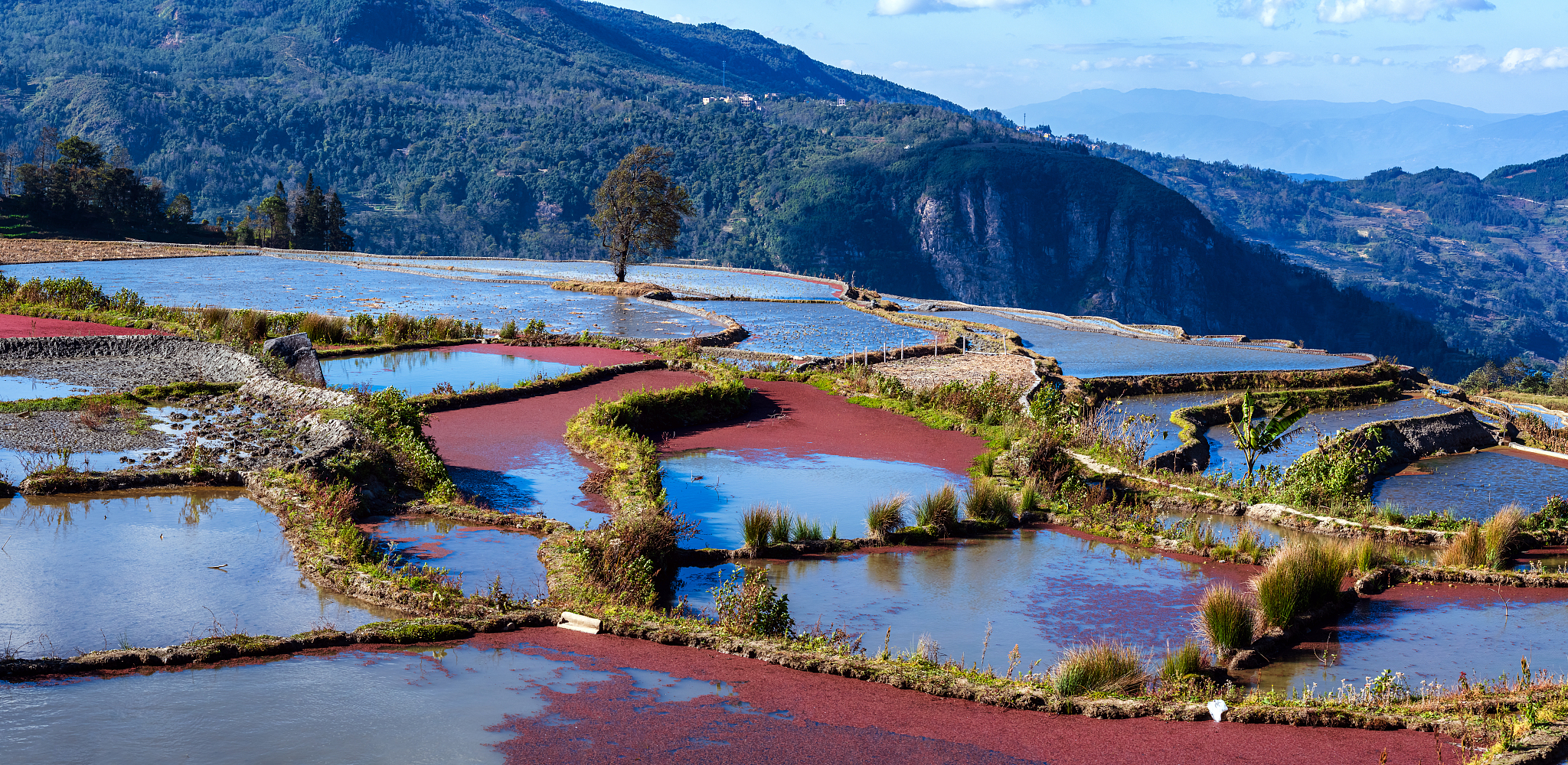 红河读中专学校有哪些专业