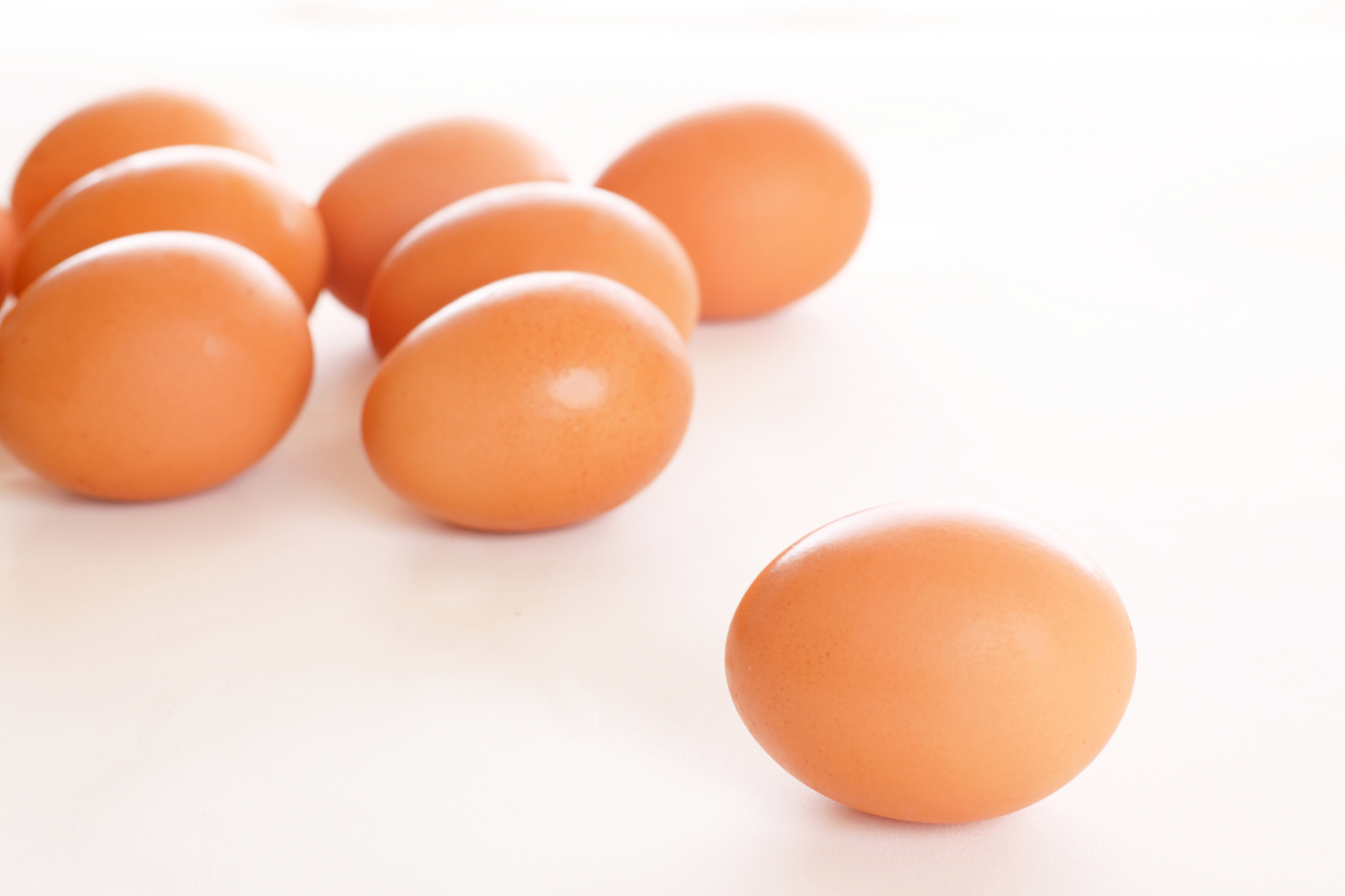 egg