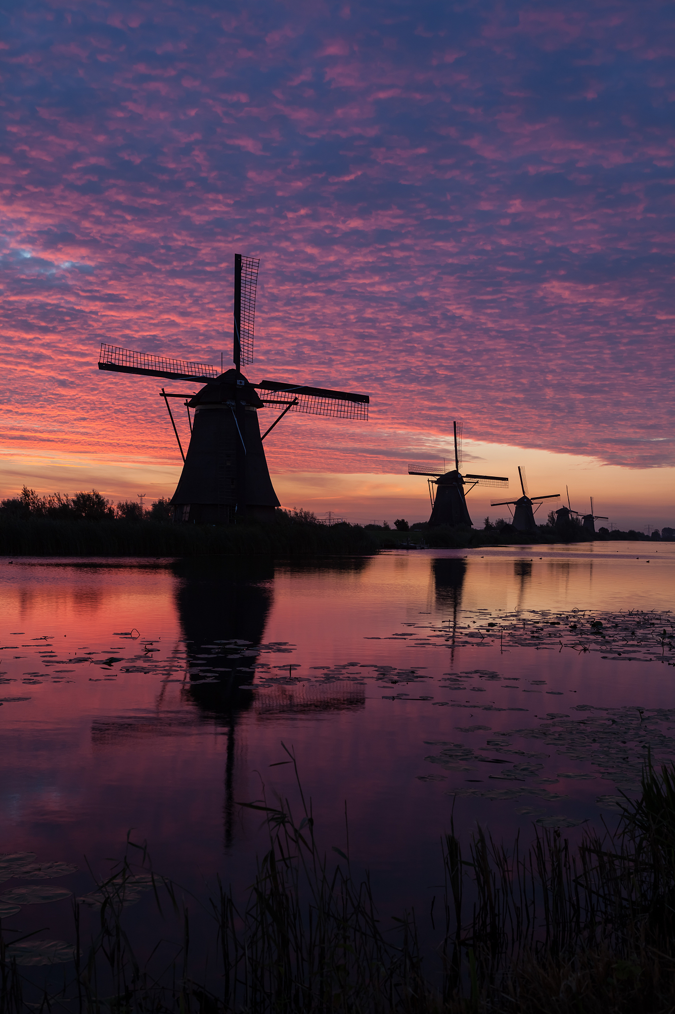 kinderdijk in holland by sunrise