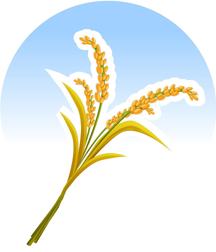 在医院实习的总结与收获