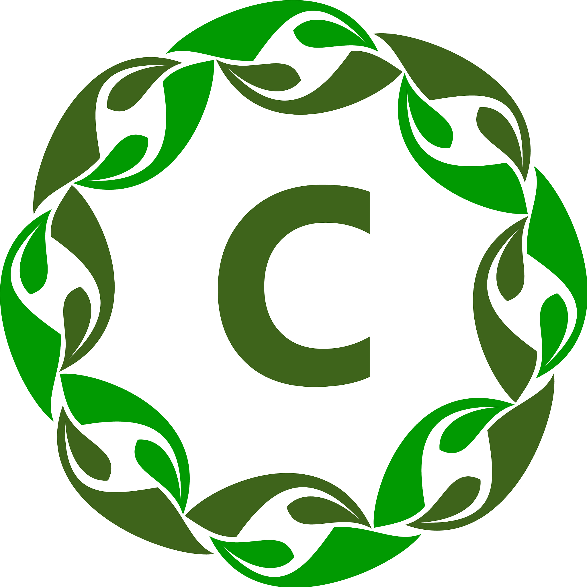 green project solution center initial c