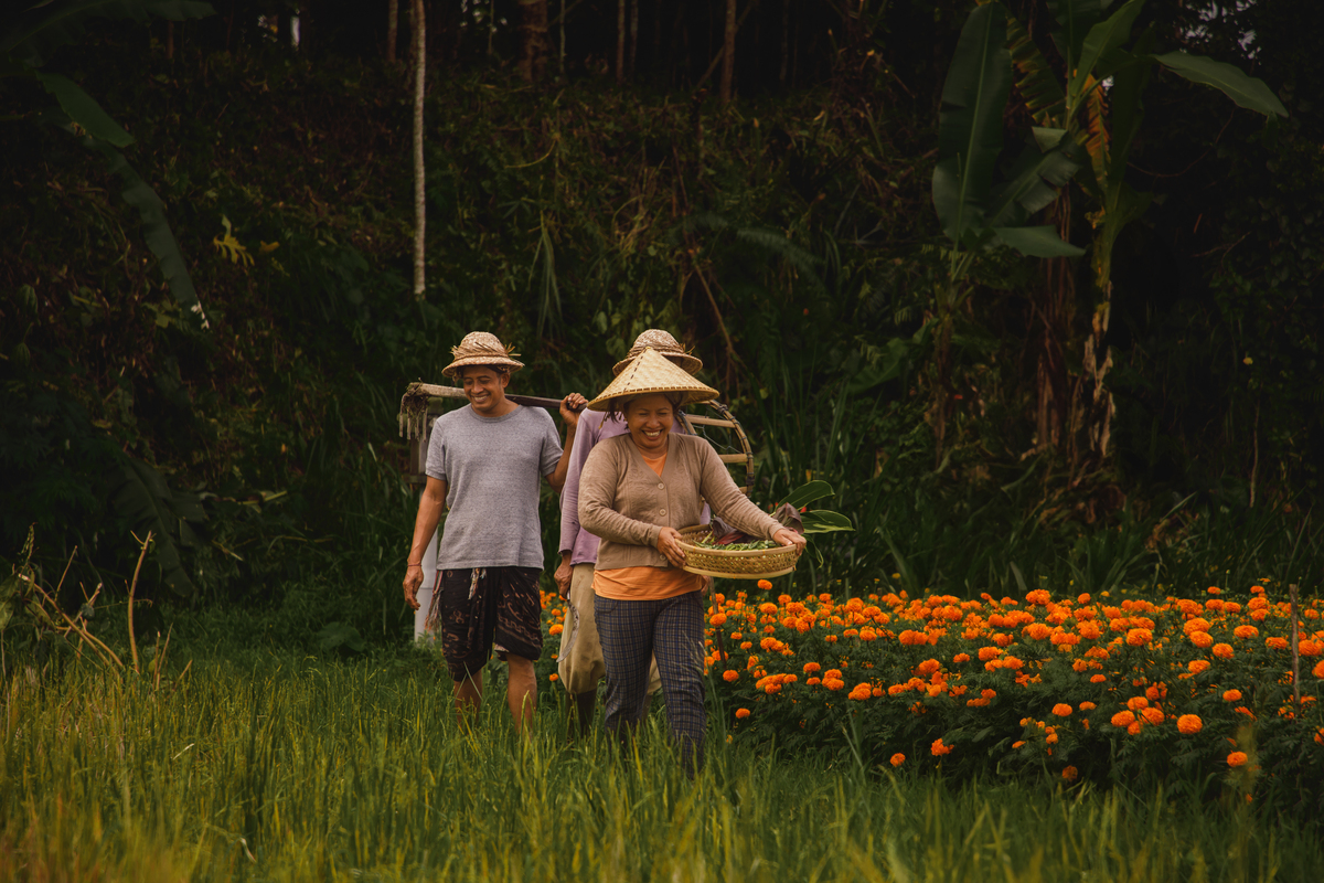 乡村民谣：宁静田园，美好生活