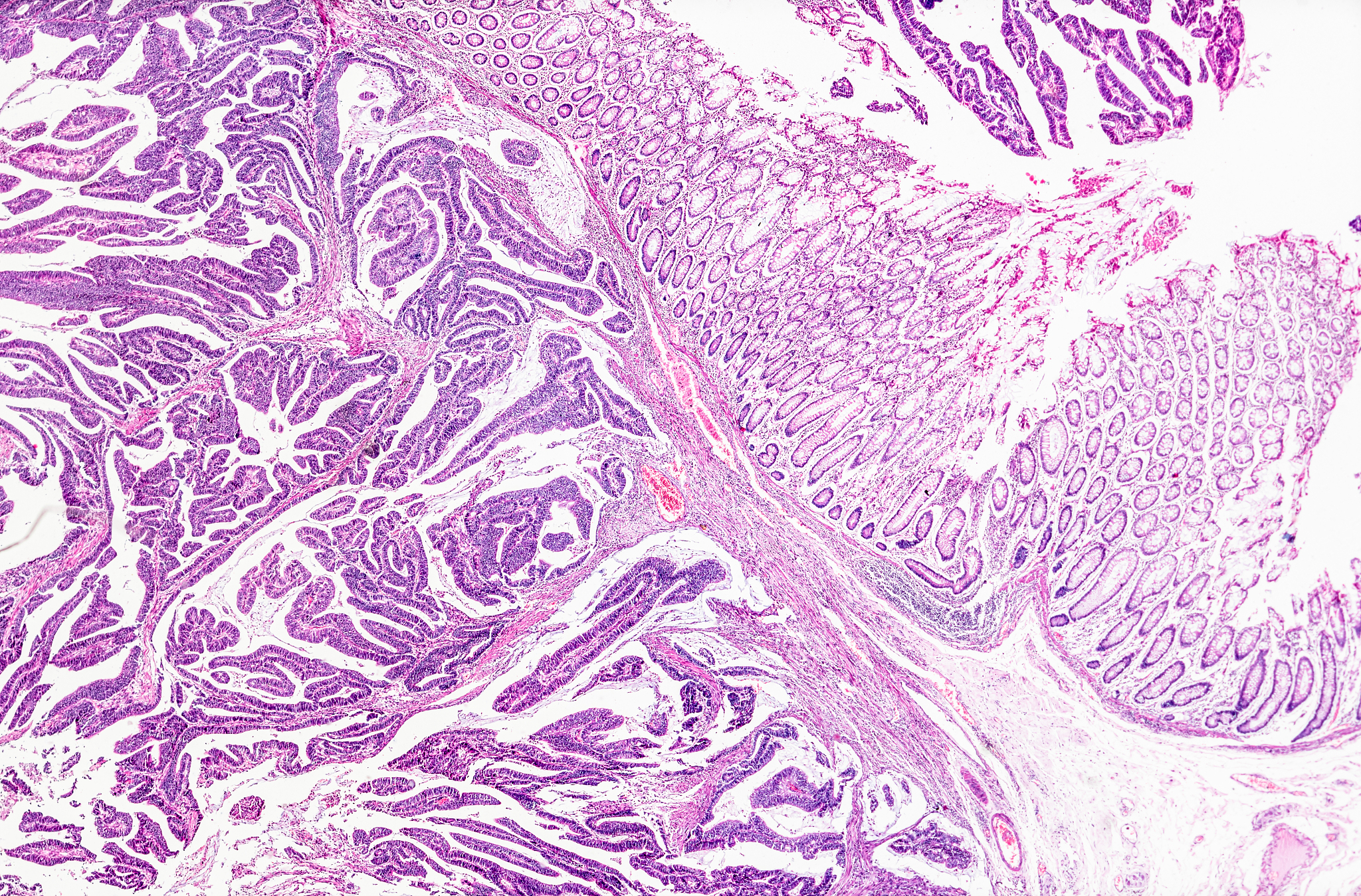 福建生物工程职业技术学院食品药品监督管理专业怎么样