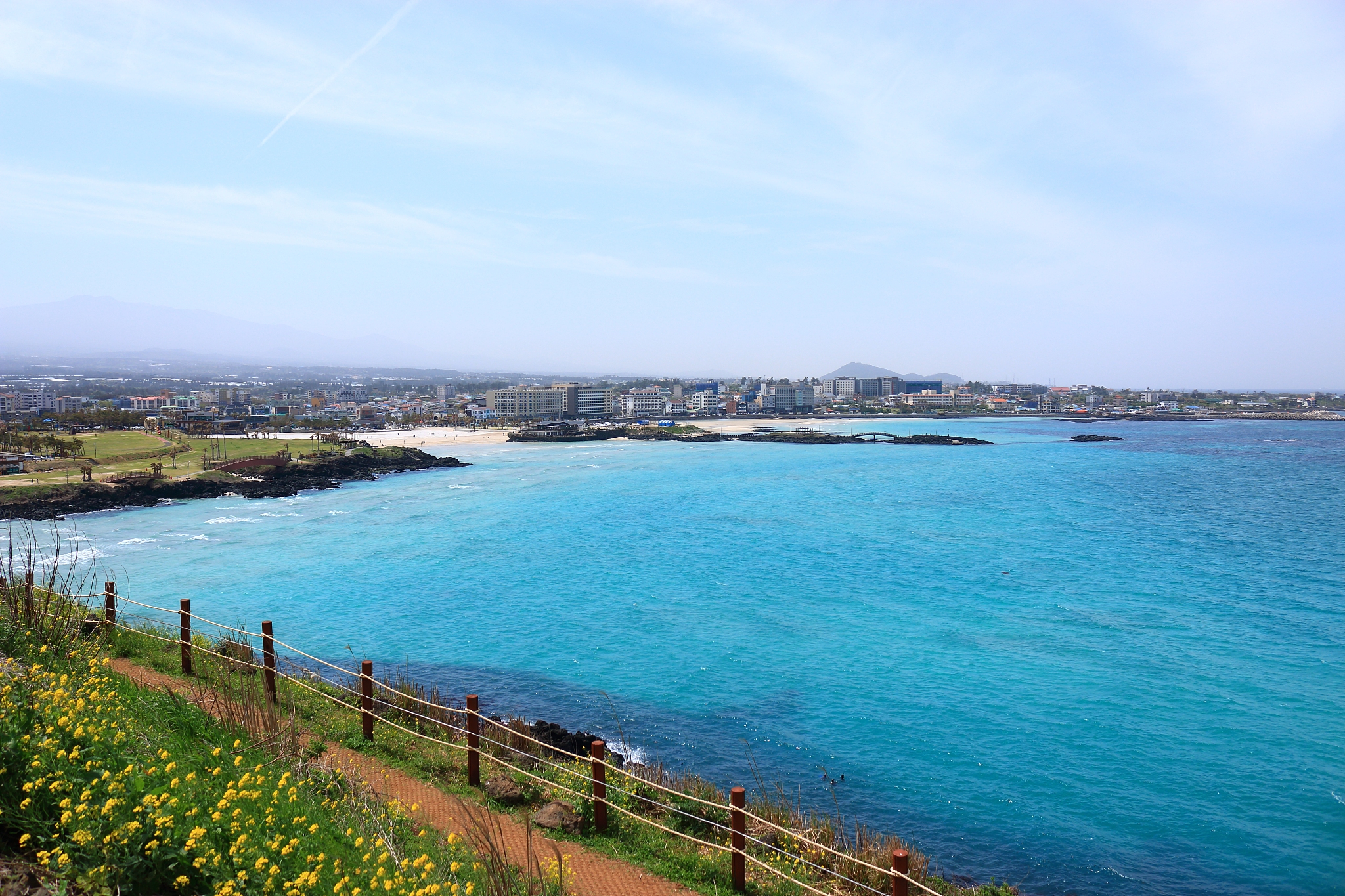 hamdeok beach, west wu bong, wildflower, flower, beach,