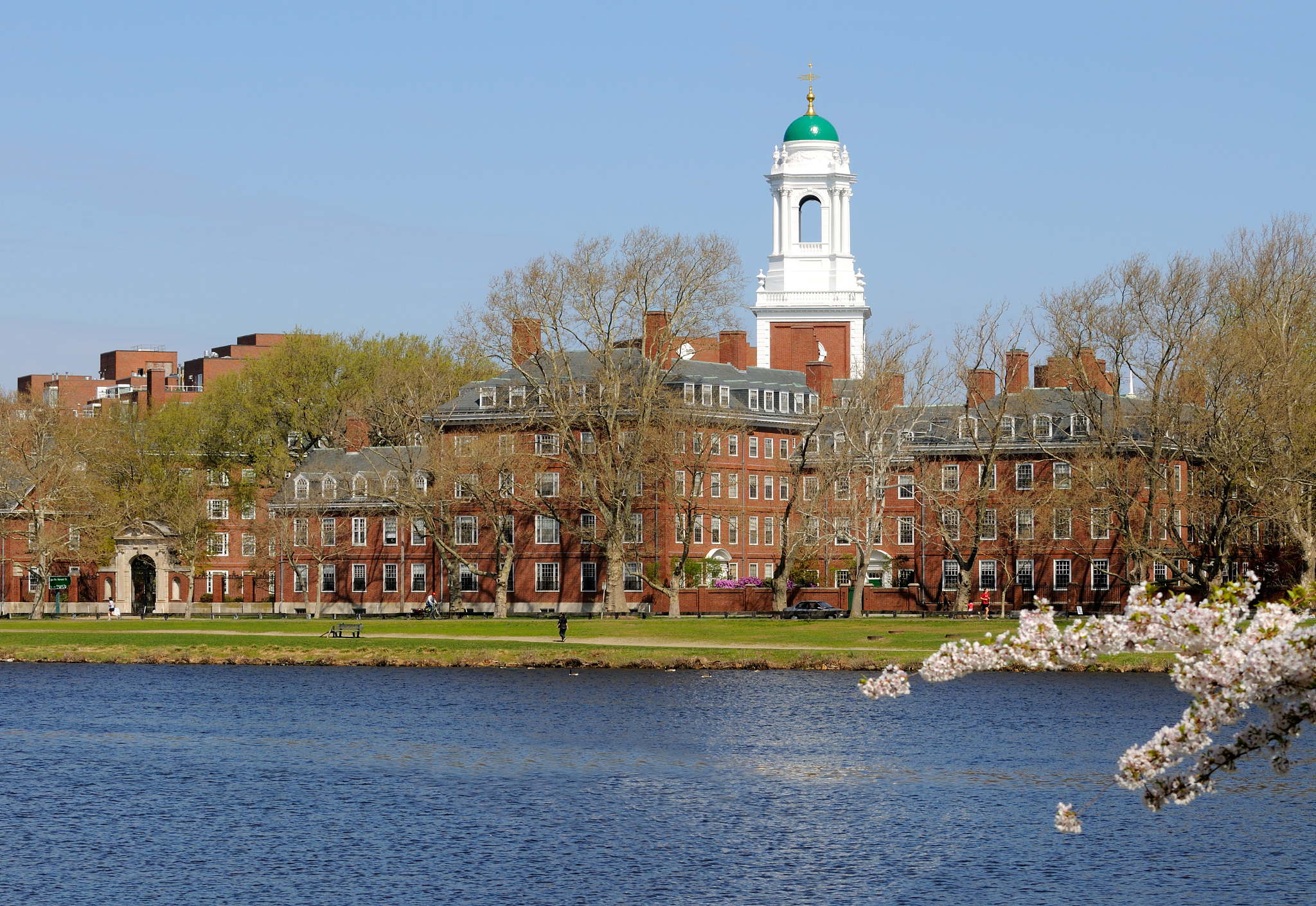 harvard in the spring