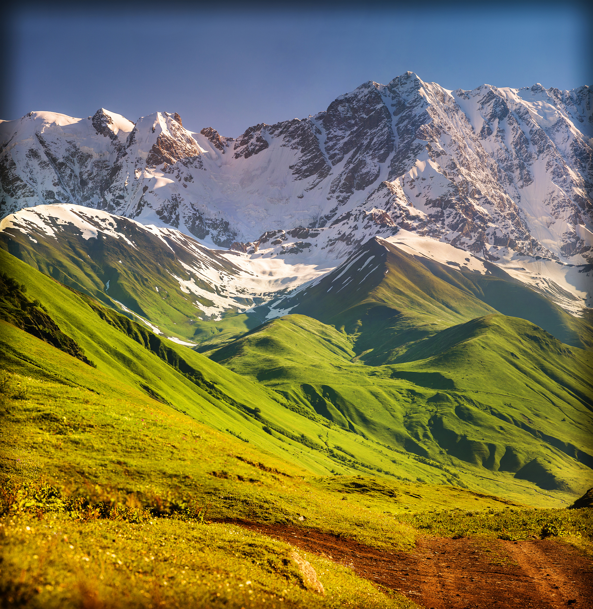 the main caucasian ridge, shkhara mountain.