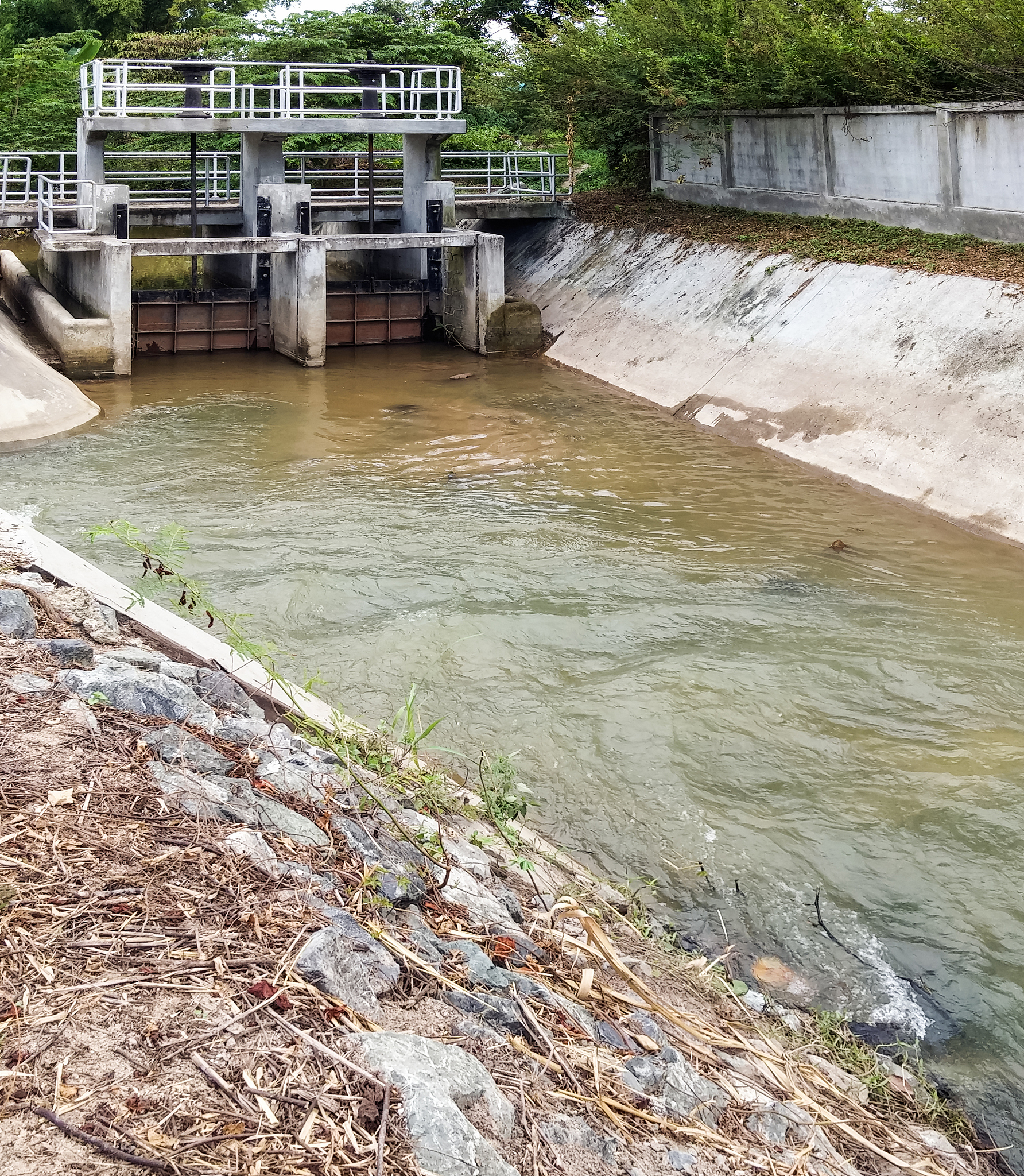 雅安水利转让详细过程解析：从流程到法律，全方位解读