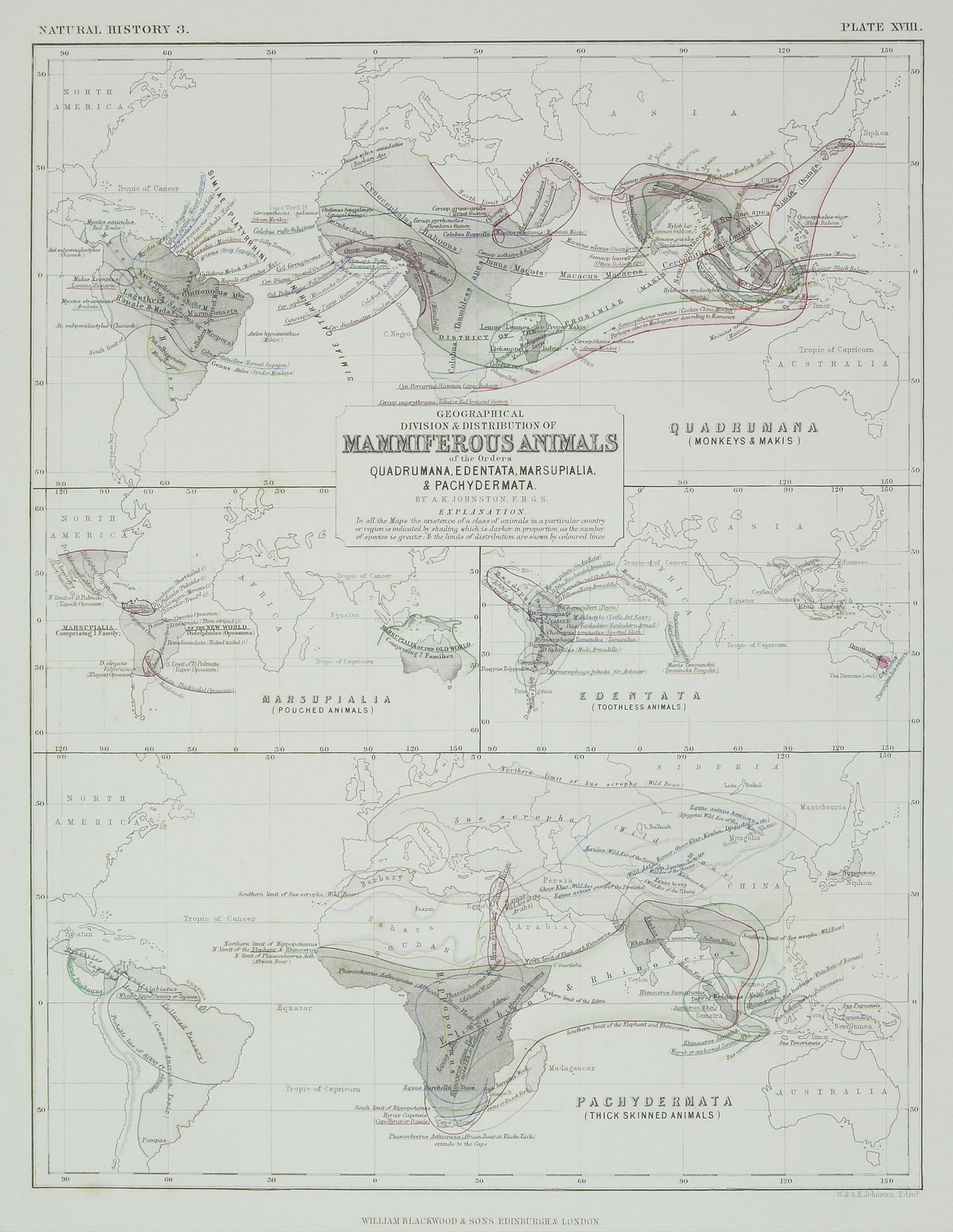 古生物学期刊PALEOBIOLOGY：研究范围及内容