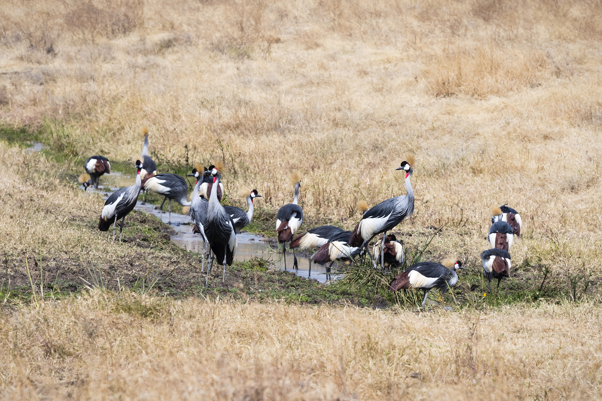 改写下面的英文In this paper the fracture behavior of the 6252-armor steel target impacted by the 93W alloy kinetic energy projectile was analyzed The relationship between impact velocity pressure and crater