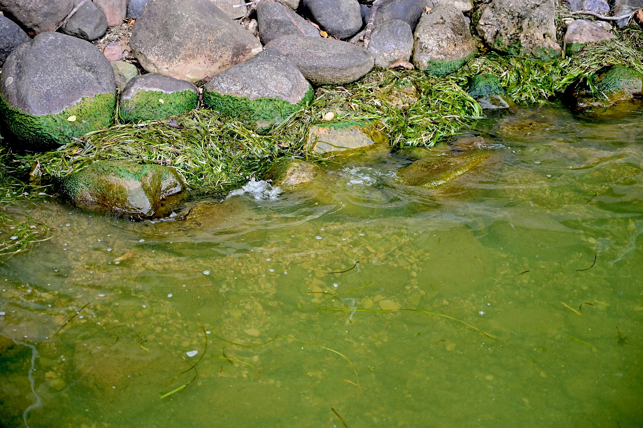 游泳馆及游泳培训机构的环境问题及解决方案
