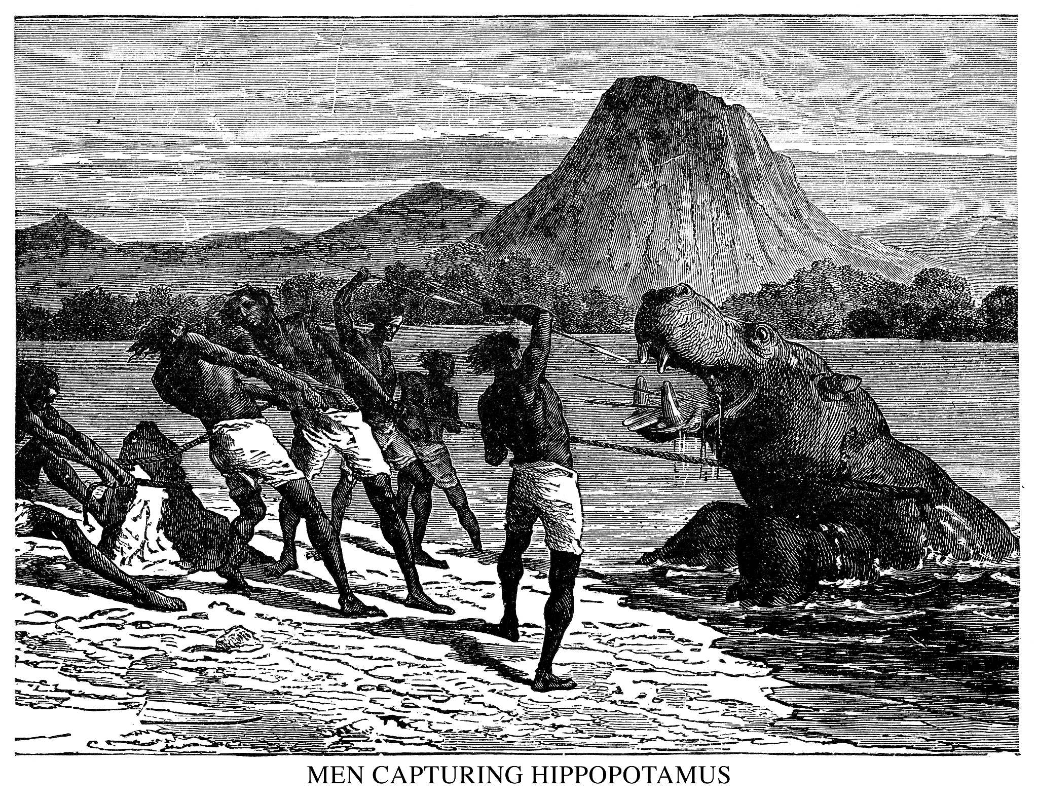 请用以下单词写出一篇推荐老人与海的英语作文assumingguaranteeglimpseinterviewedobtainedanticipateprofessionnarrativethe hard wayAmazedrecognitionsteadypacing