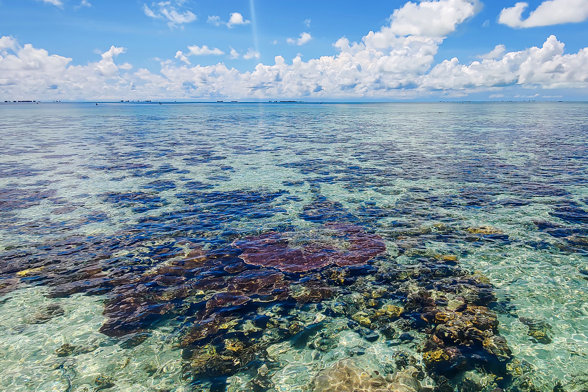 海岸带生物膜的工程应用前景：环保、资源开发与修复的未来