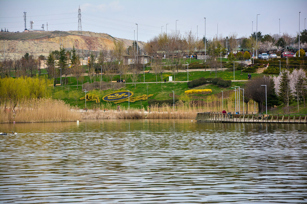 兰州秦王川湿地公园植物类型:芦苇、睡莲、柳树等丰富物种 兰州秦王川湿地公园植物类型:芦苇、睡莲、柳树等丰富物种