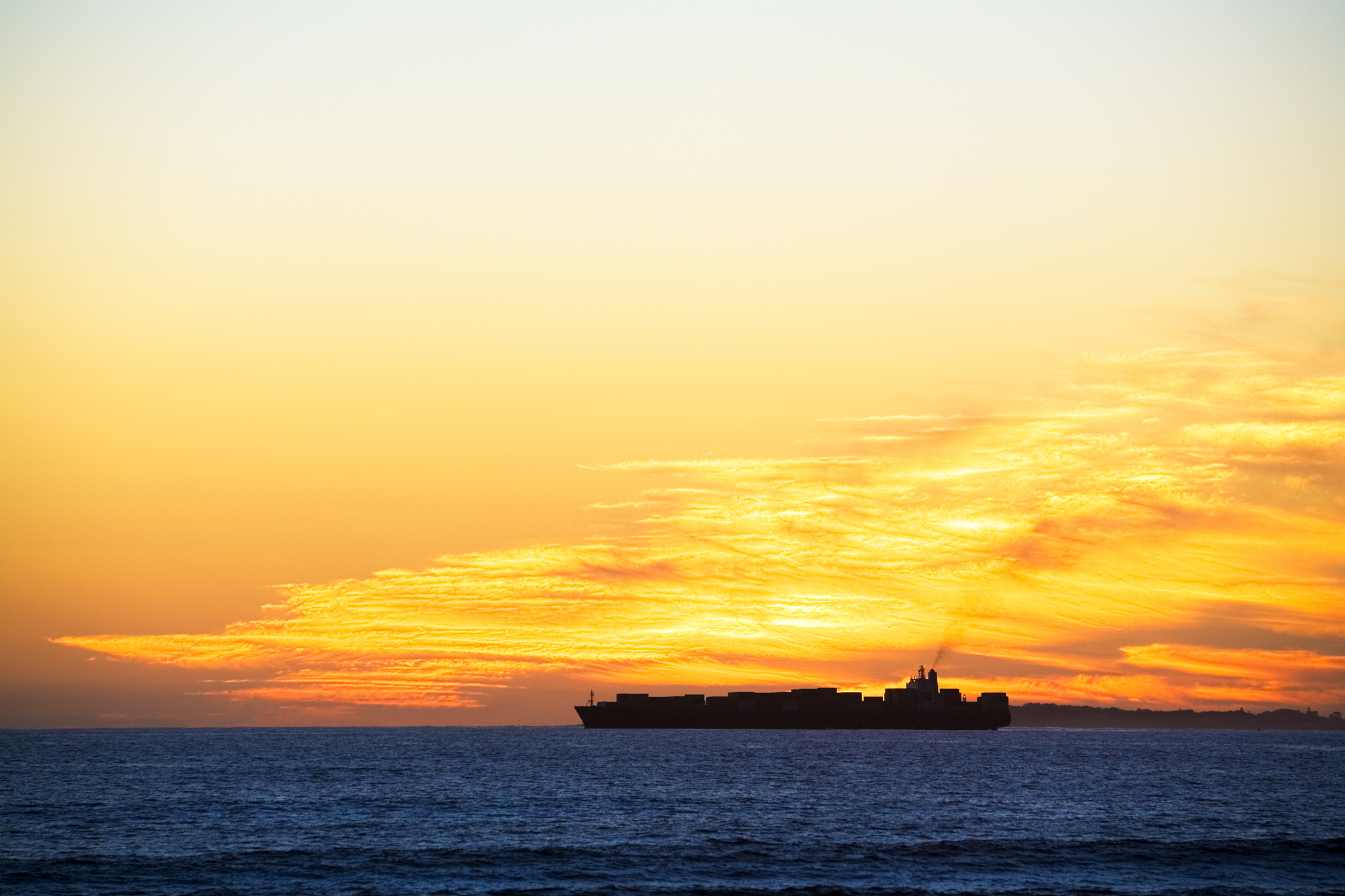 厦门海洋职业技术学院报关与国际货运专业就业前景如何