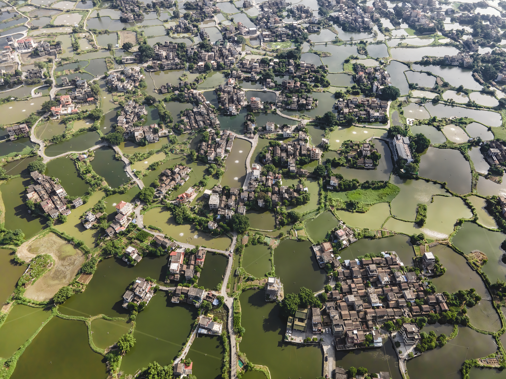 2023年广东江门鹤山市发展和改革局招聘5人公告