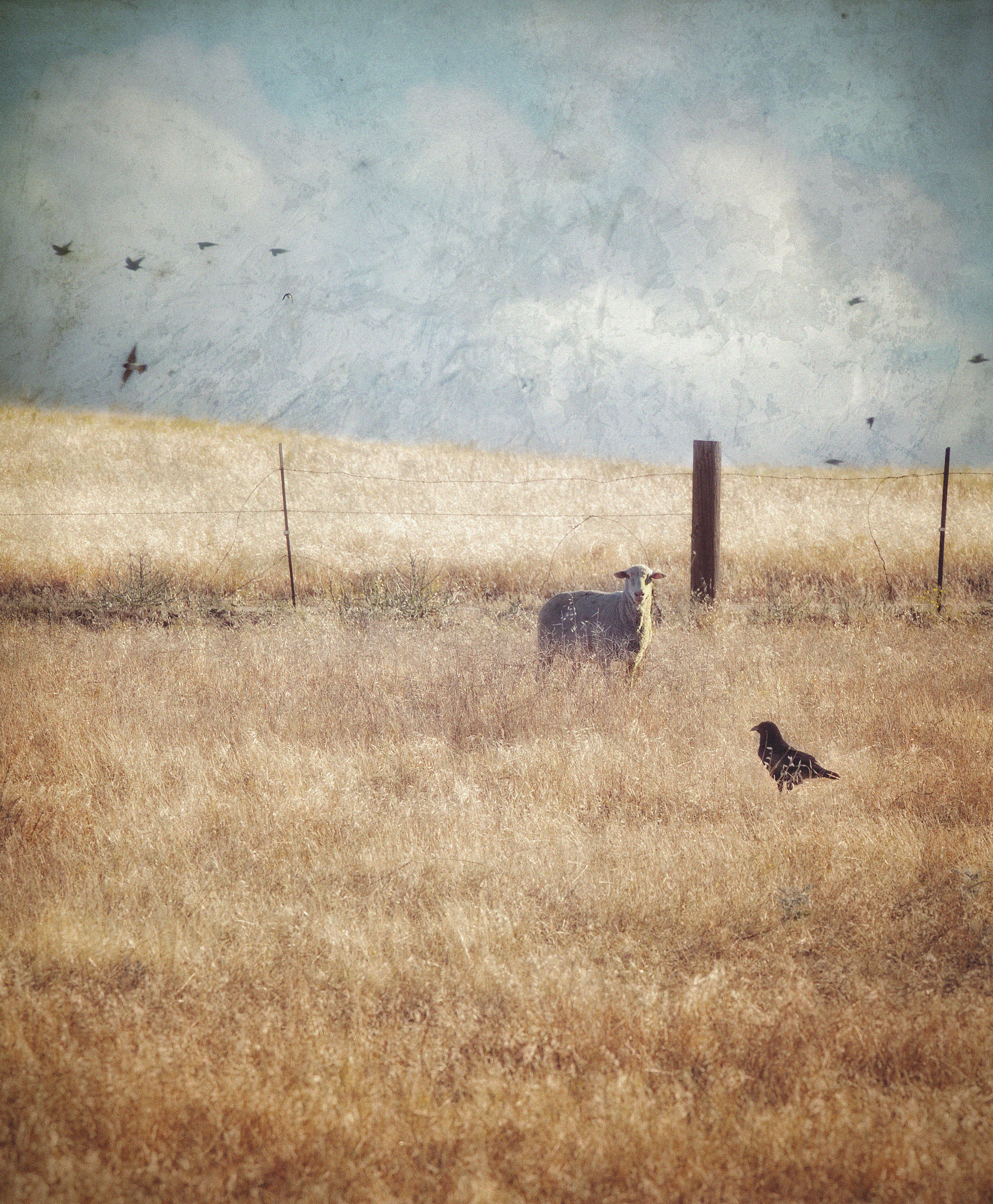 《麦田里的守望者》：美国青少年的成长与思考