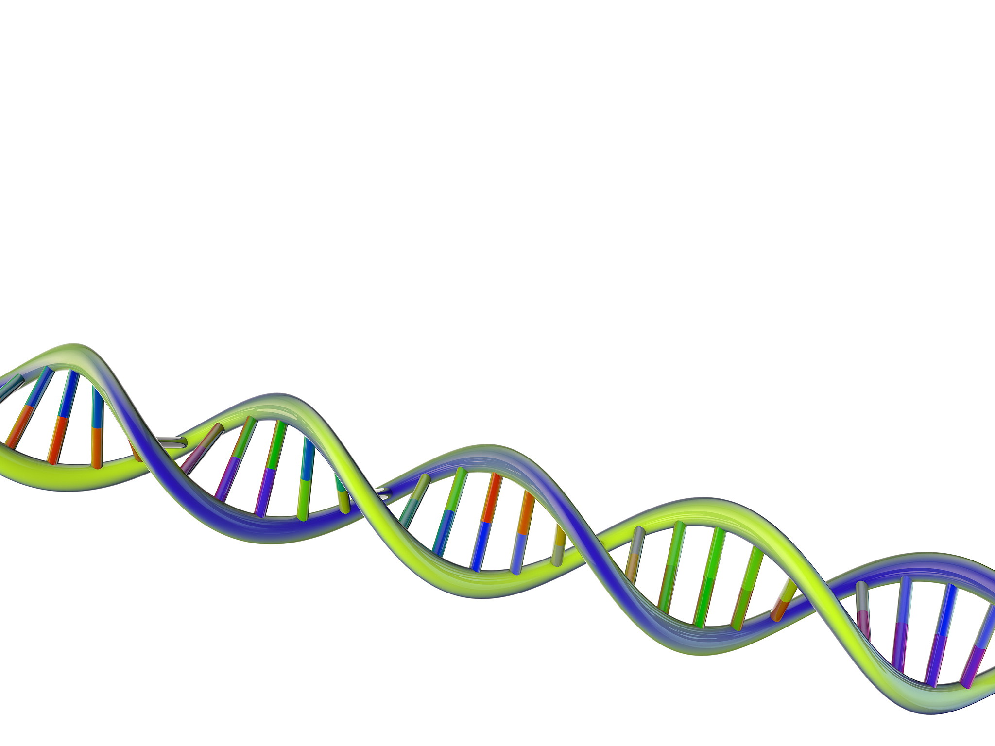 德阳中艺科技职业学校有哪些专业