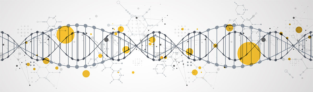 小学DNA提取项目式设计活动：让学生体验生命科学奥秘