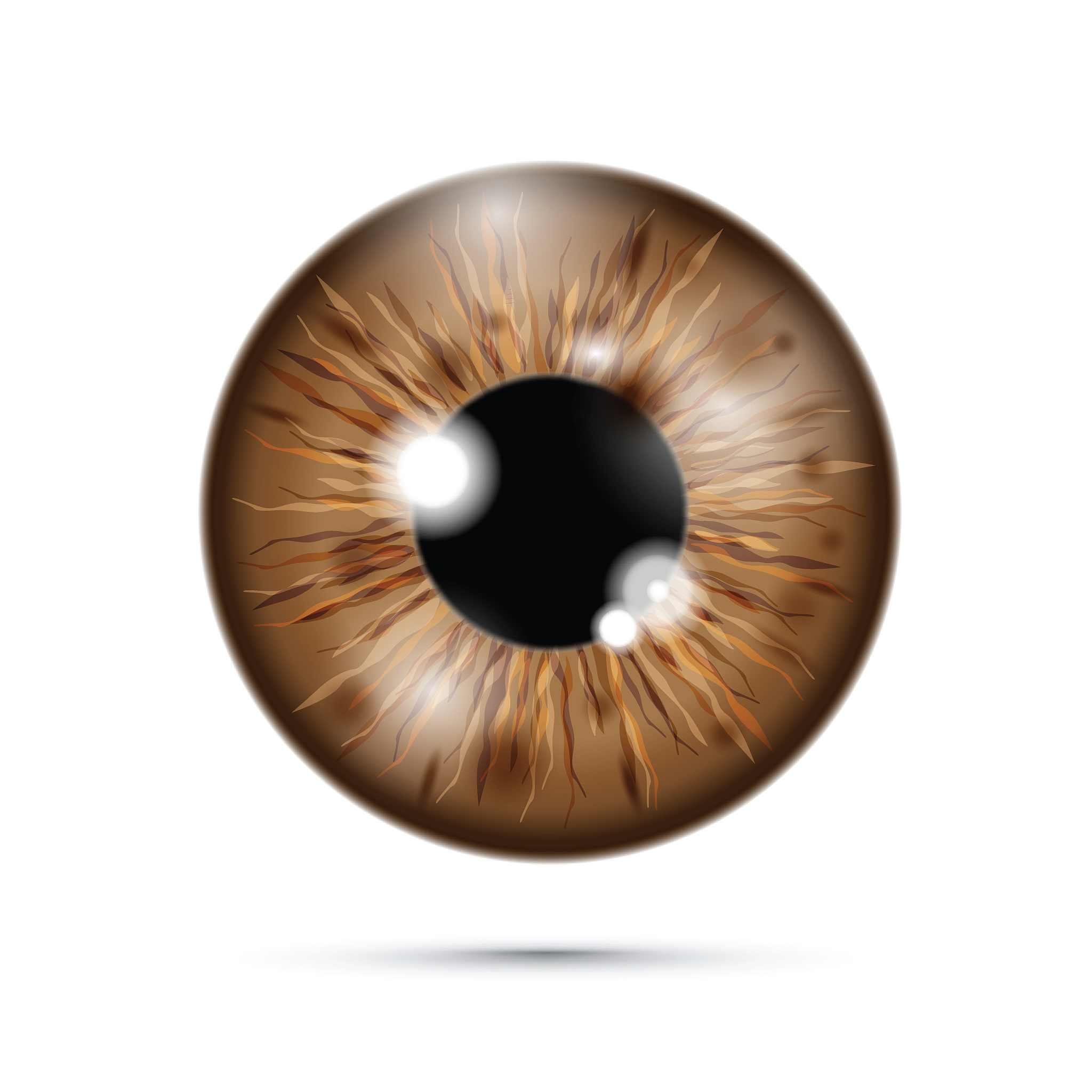 realistic eyeball