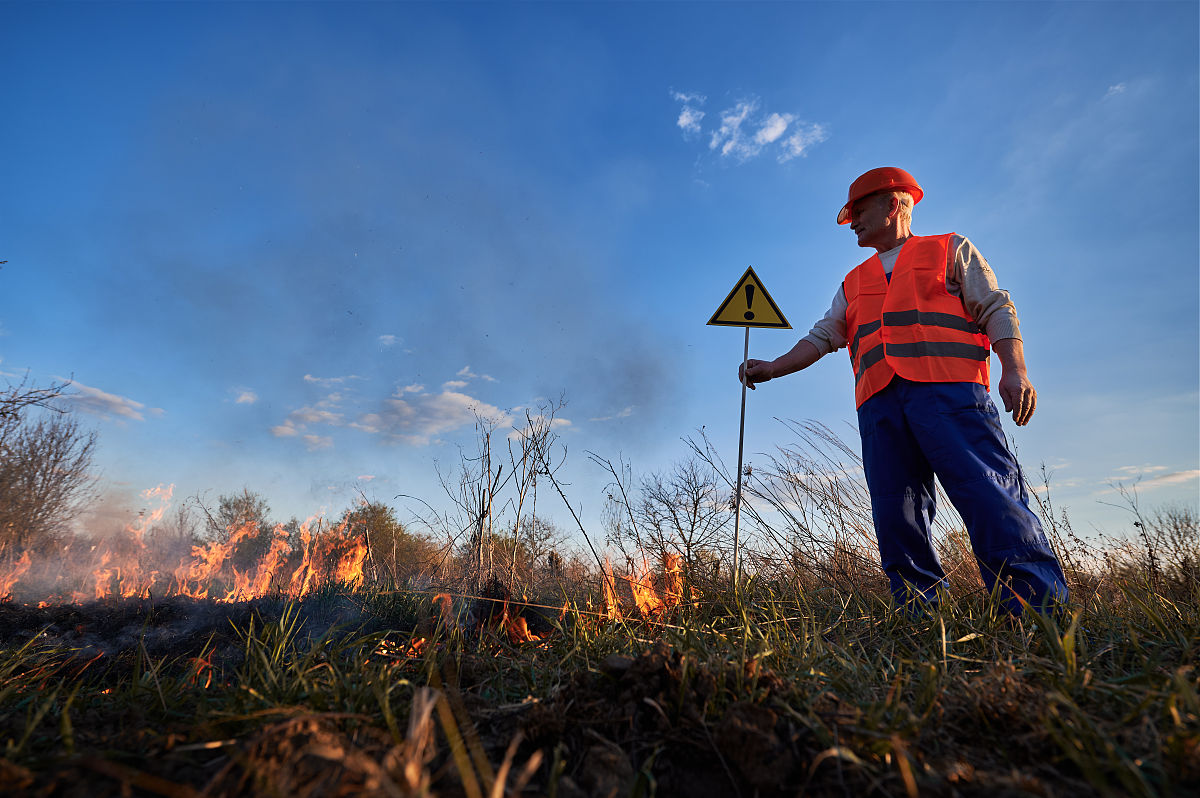 INTERNATIONAL JOURNAL OF WILDLAND FIRE: 野火科学与管理的权威期刊