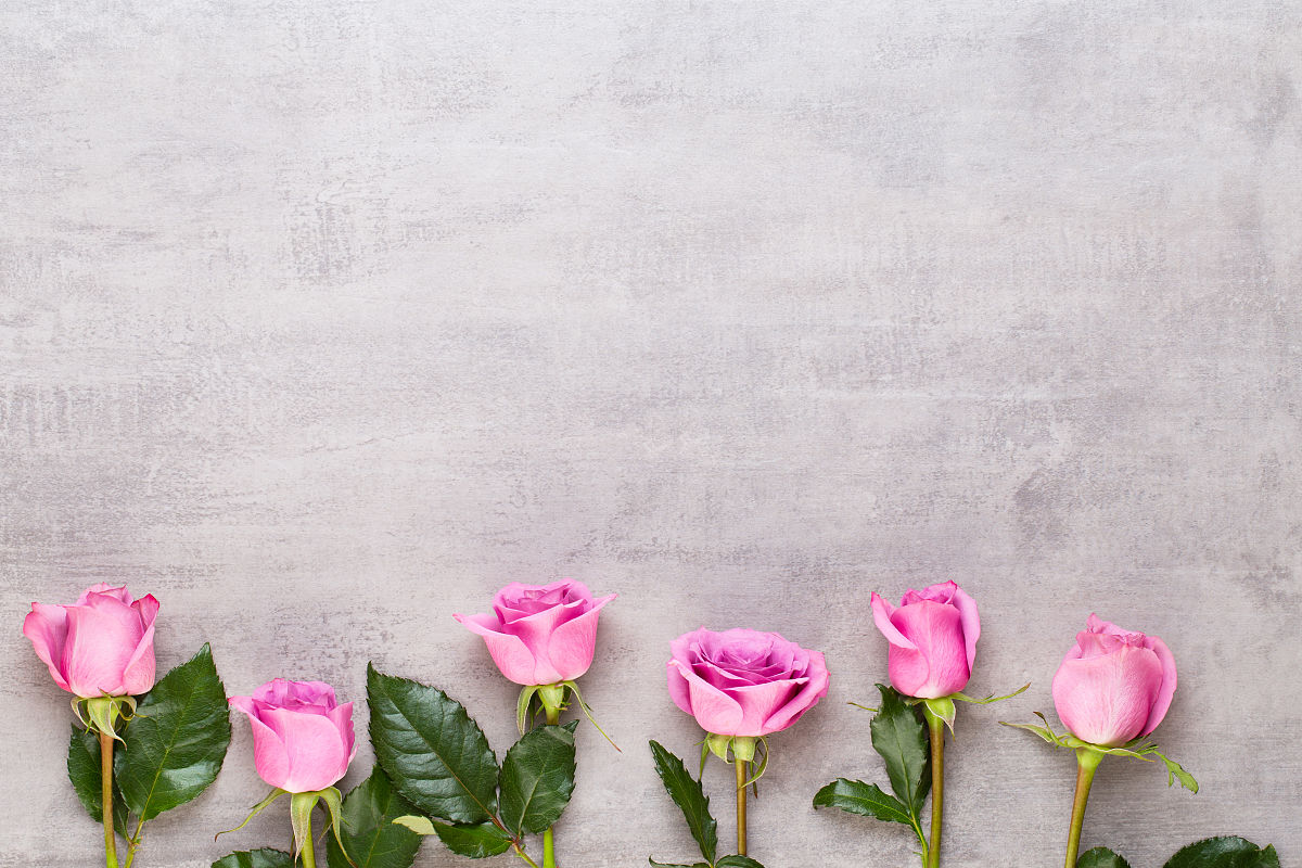 以像花一样绽放为题写一篇作文1000字左右