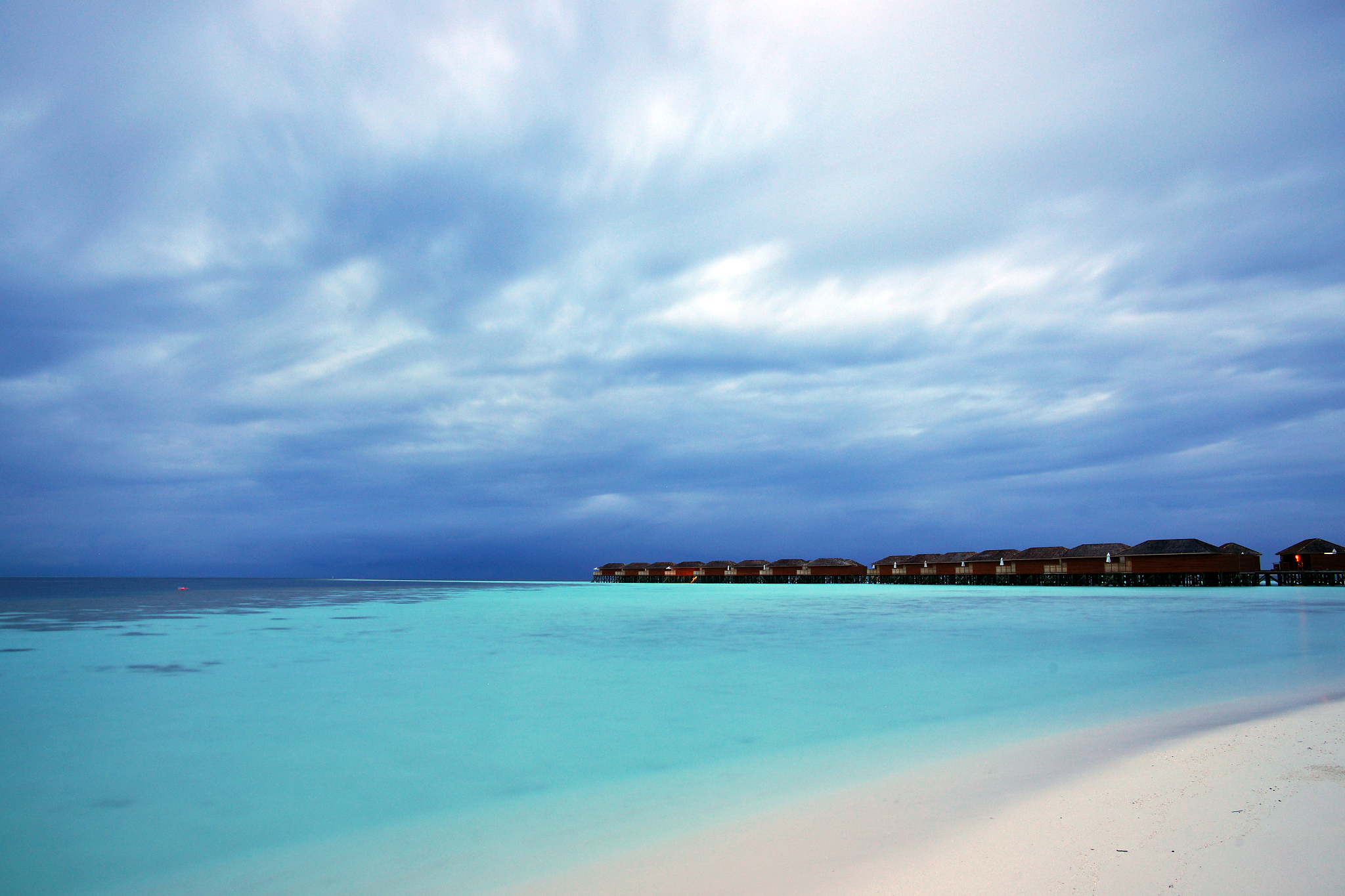 httpssmjrunBgjwu3D-Qpw Blue ocean blue sky white beach of Maldives pink roses of different sizes on the beach blue roses white roses many tiny and colorful luminous particles illuminated by the Milky