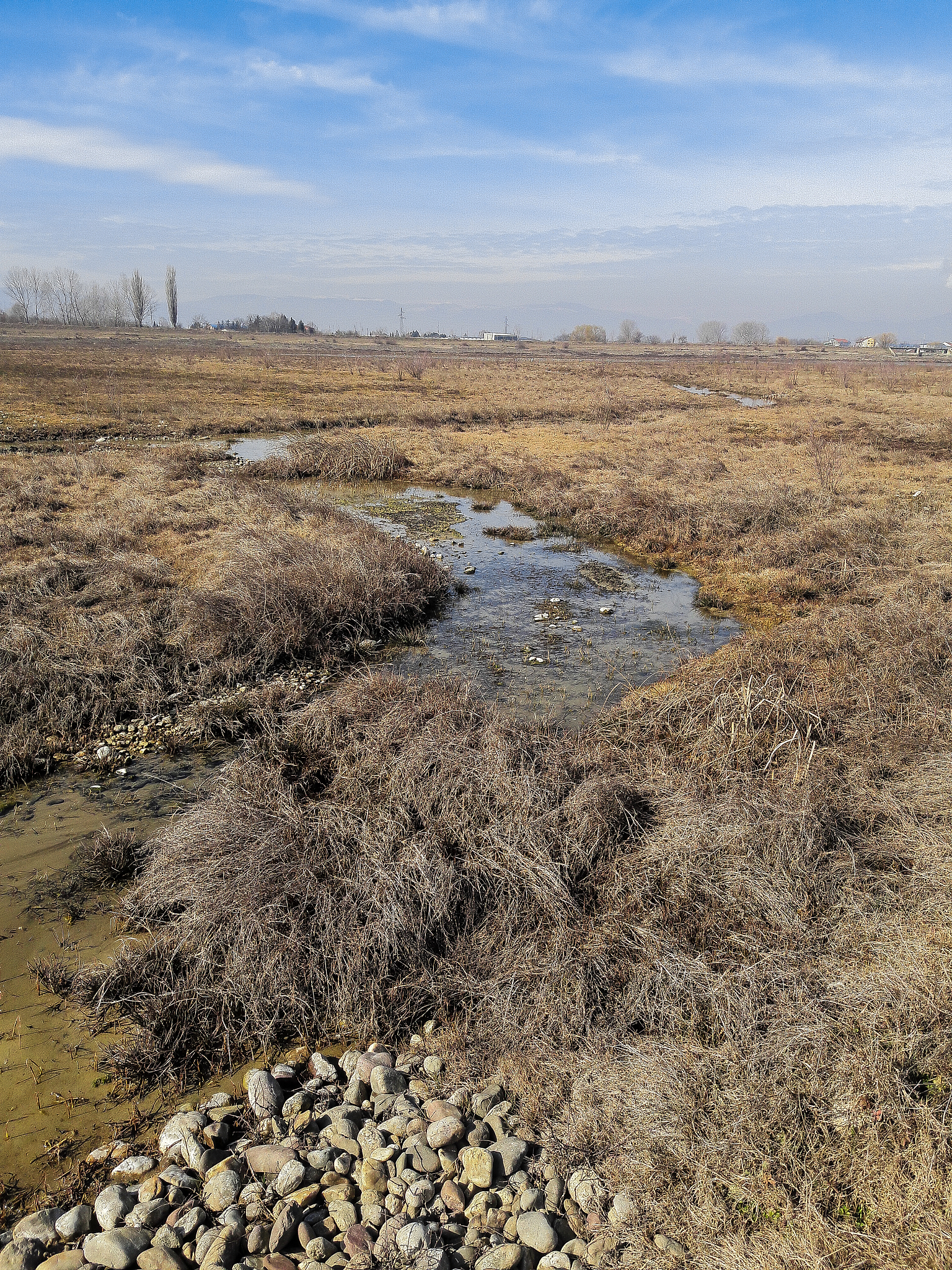 巴丹吉林沙漠湖泊底泥和水体微生物群落差异：数量、结构大不同！