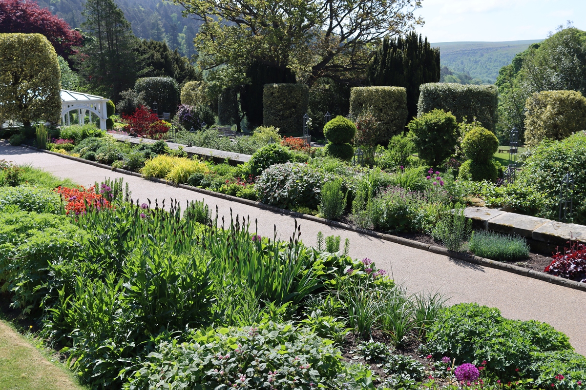 昆士公园巡游者