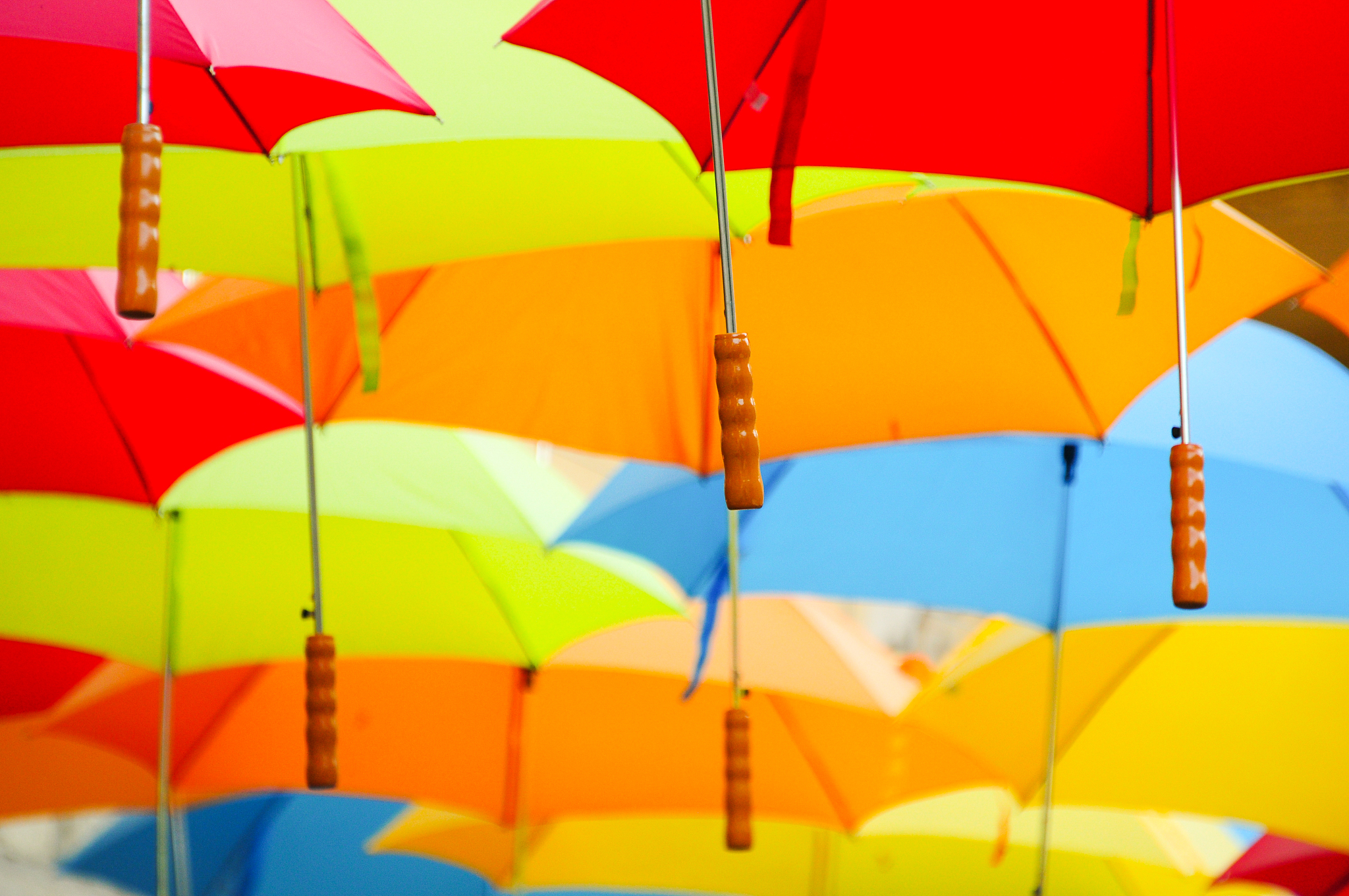colourful umbrella roof