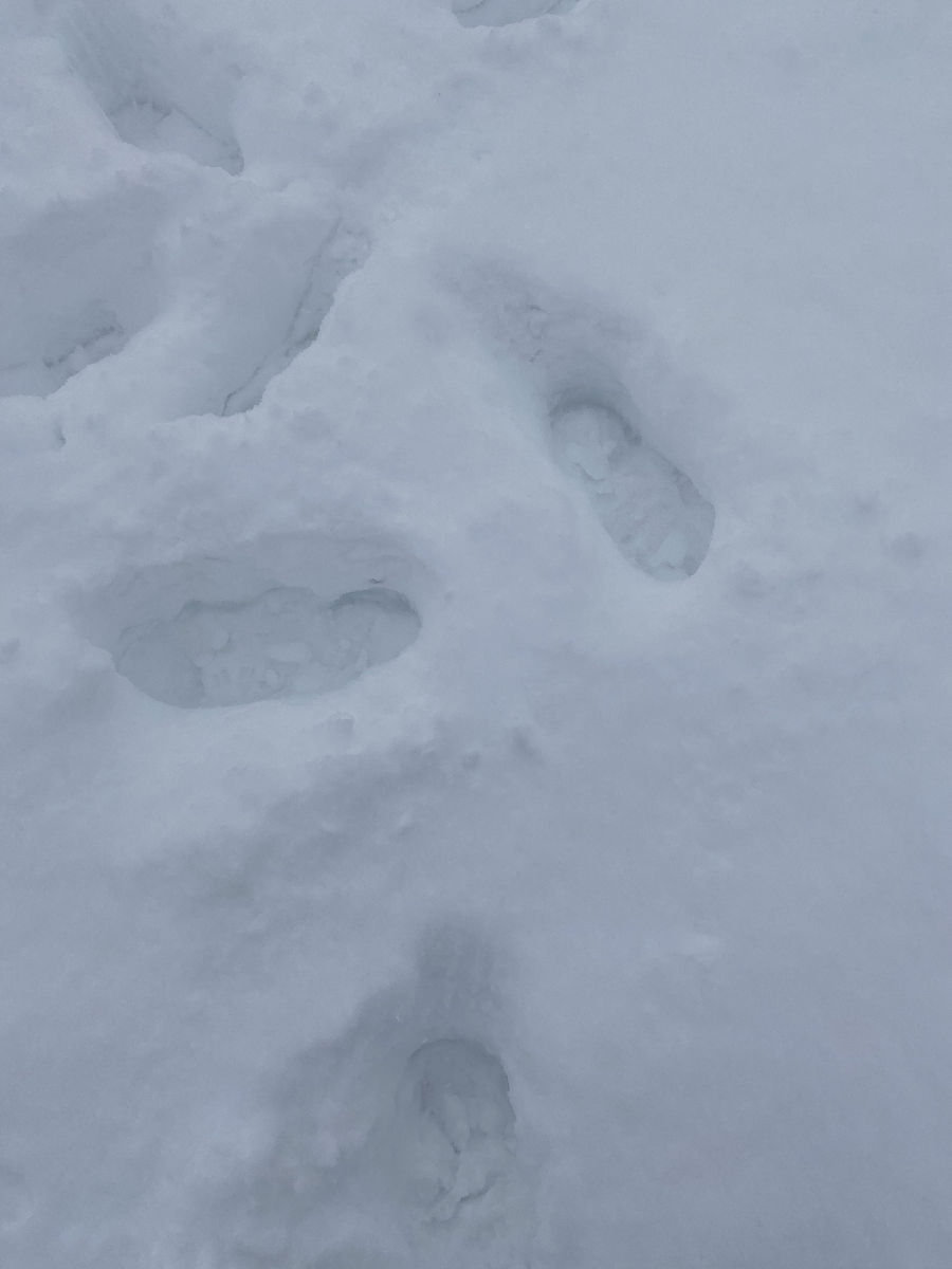 髋关节发育不良该如何保养？