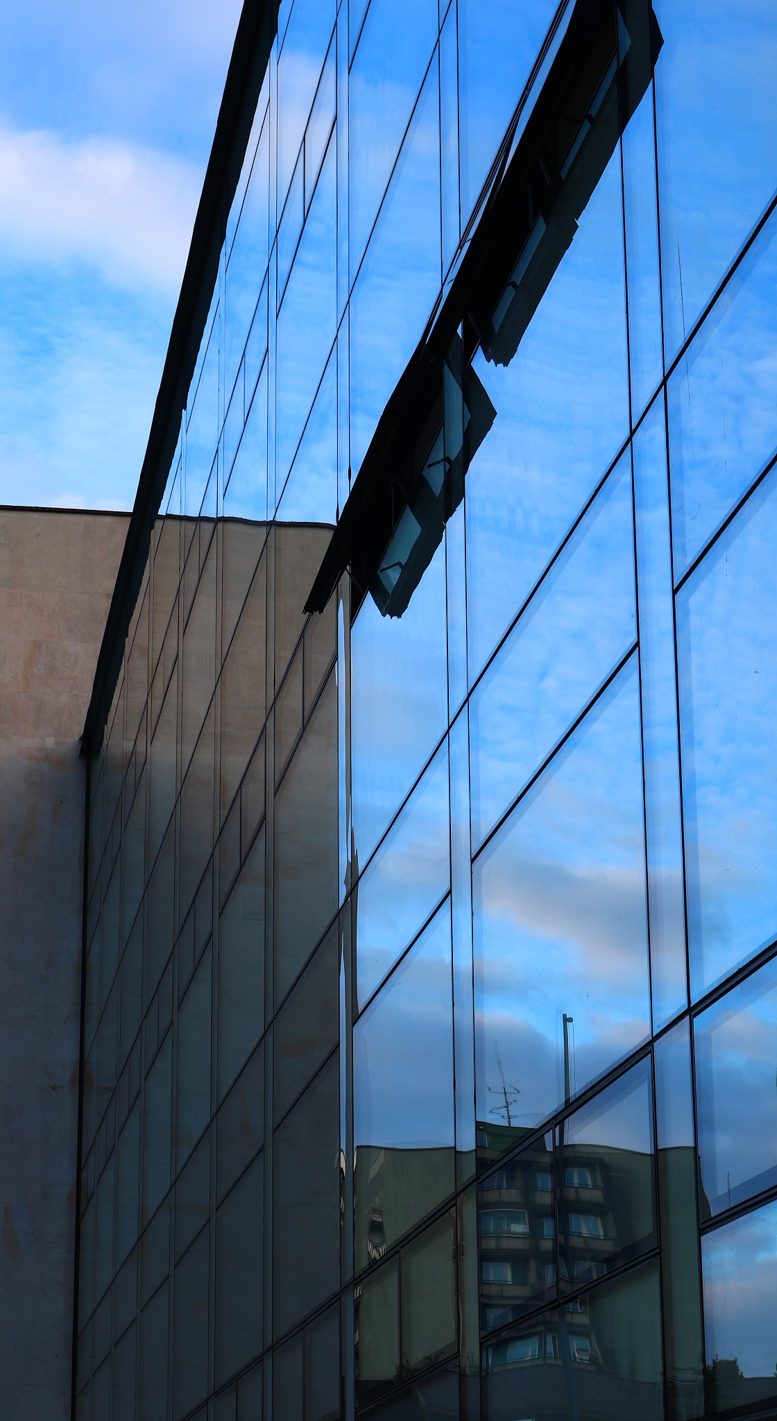 modern glass building