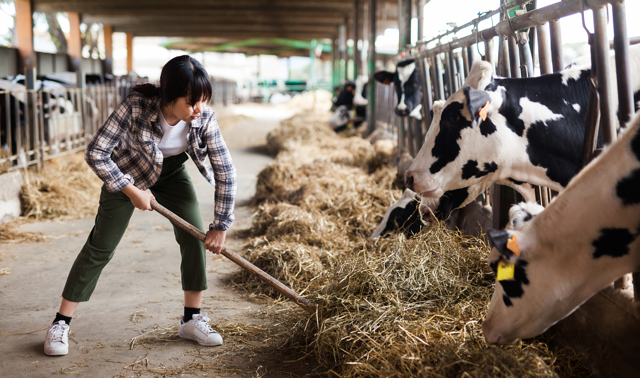 辽宁农业职业技术学院2022年住宿费多少？