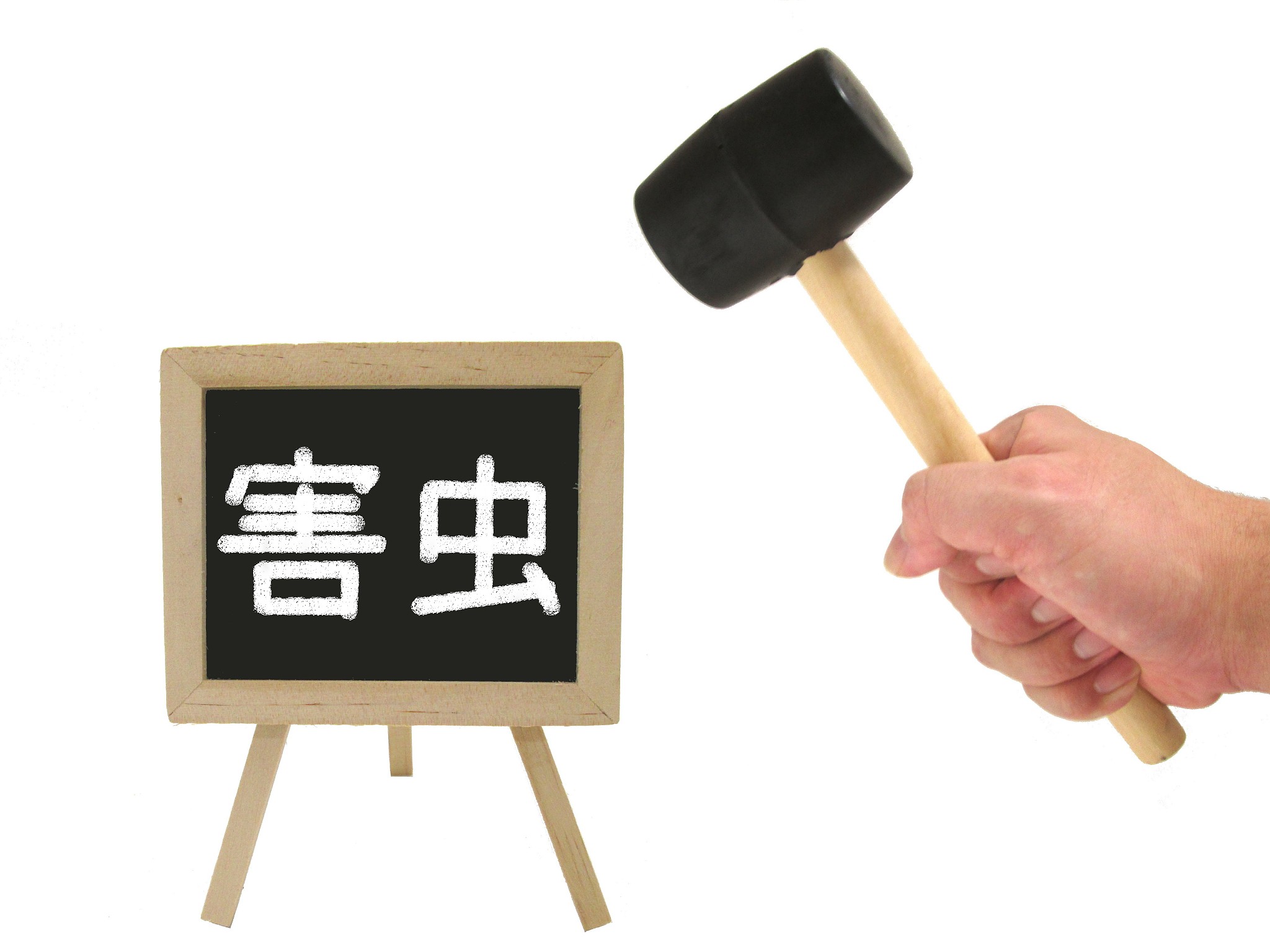 猫咪驱虫频率指南：多久一次才有效？