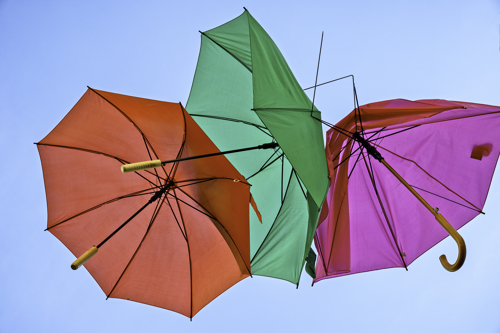 umbrellas