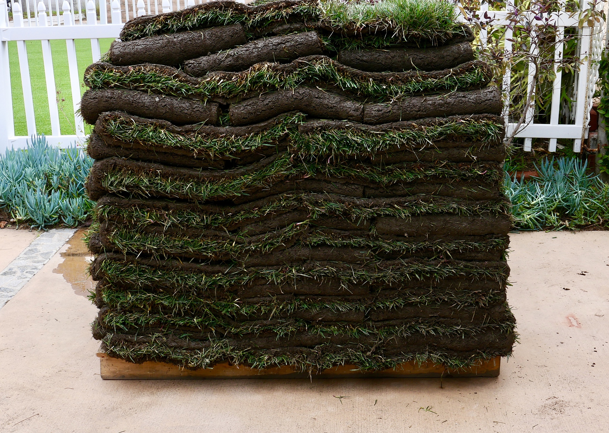 广东农工商职业技术学院园艺技术专业怎么样都要学些什么