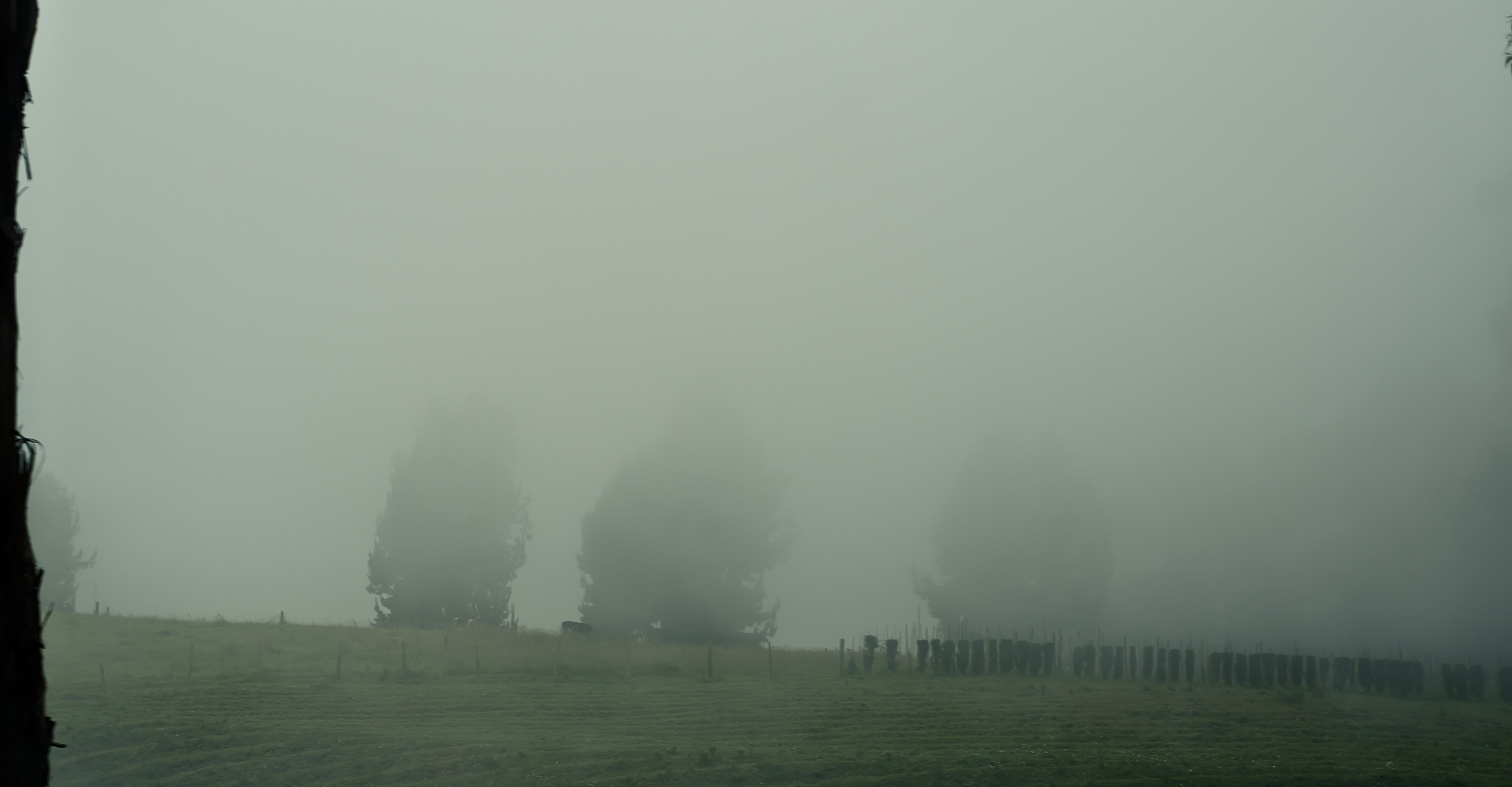 北京雾霾爆表！哲学警示：人与自然如何和谐相处？