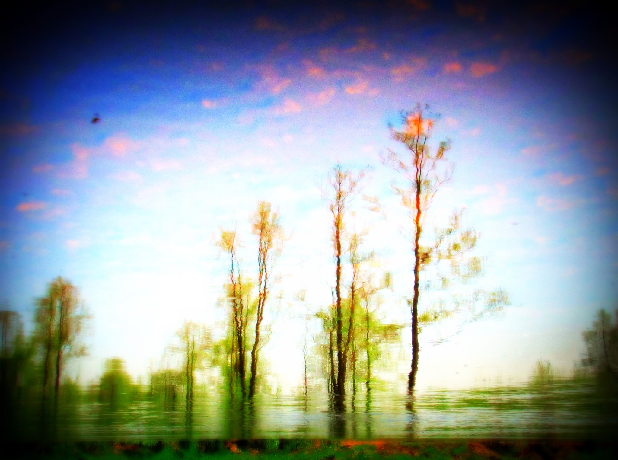 青春不留遗憾，用诗词歌赋描绘人生画卷