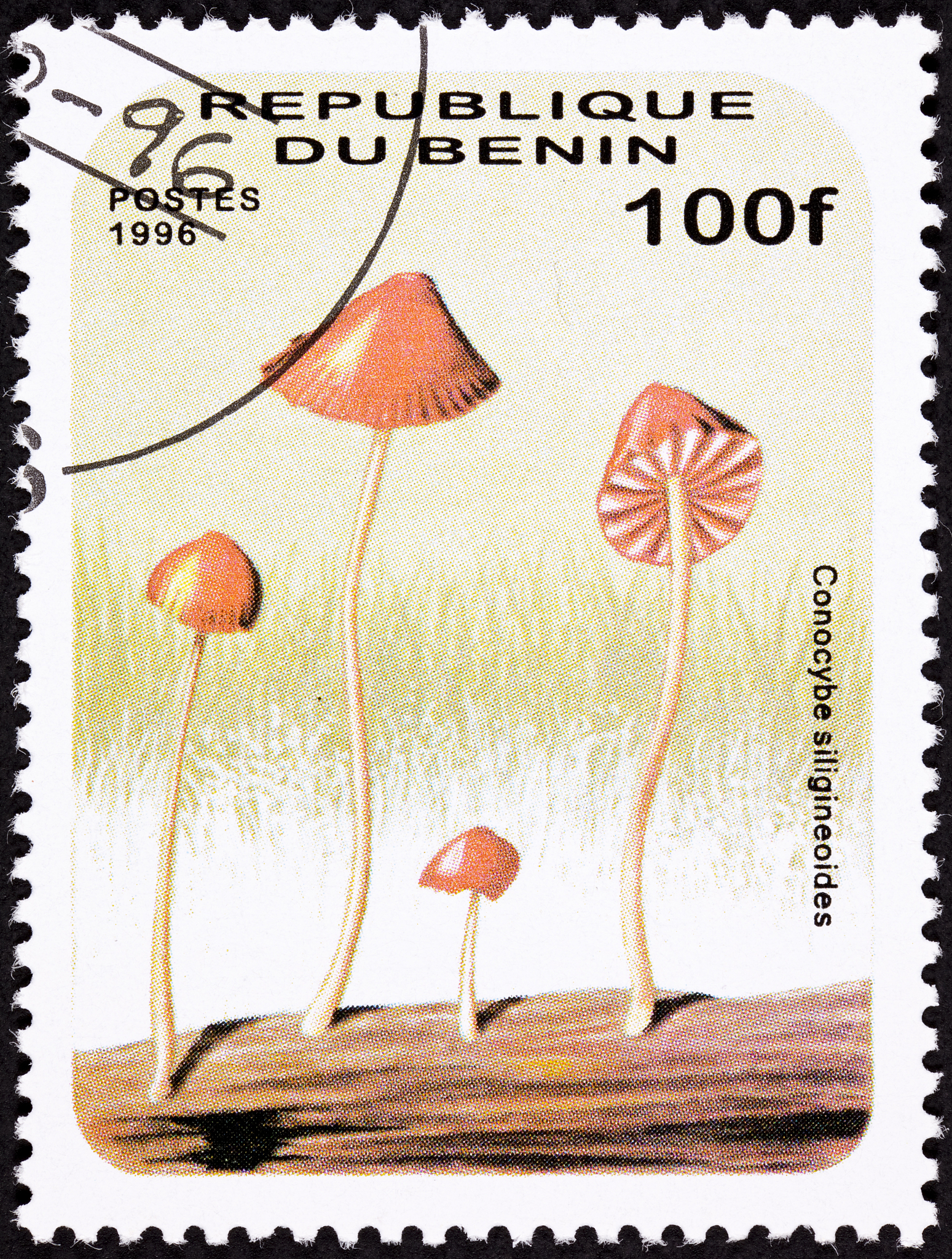 canceled benin postage stamp umbrella shaped psychedelic mushroo