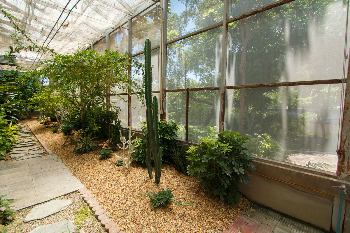 Greenhouse Large Gardening Plant Hot House Portable Walking in Tunnel Tent Reviews - Best Greenhouse for Gardening!