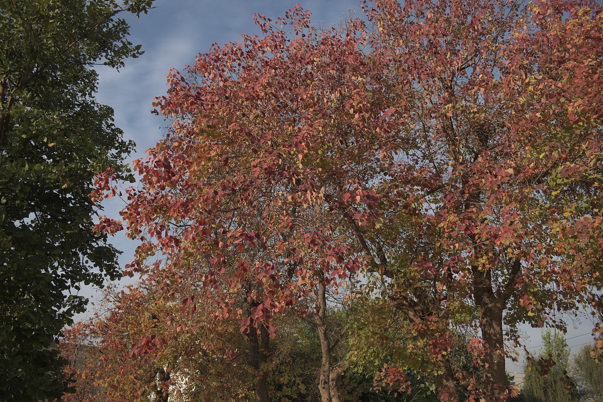 出一份七年级下数学试卷