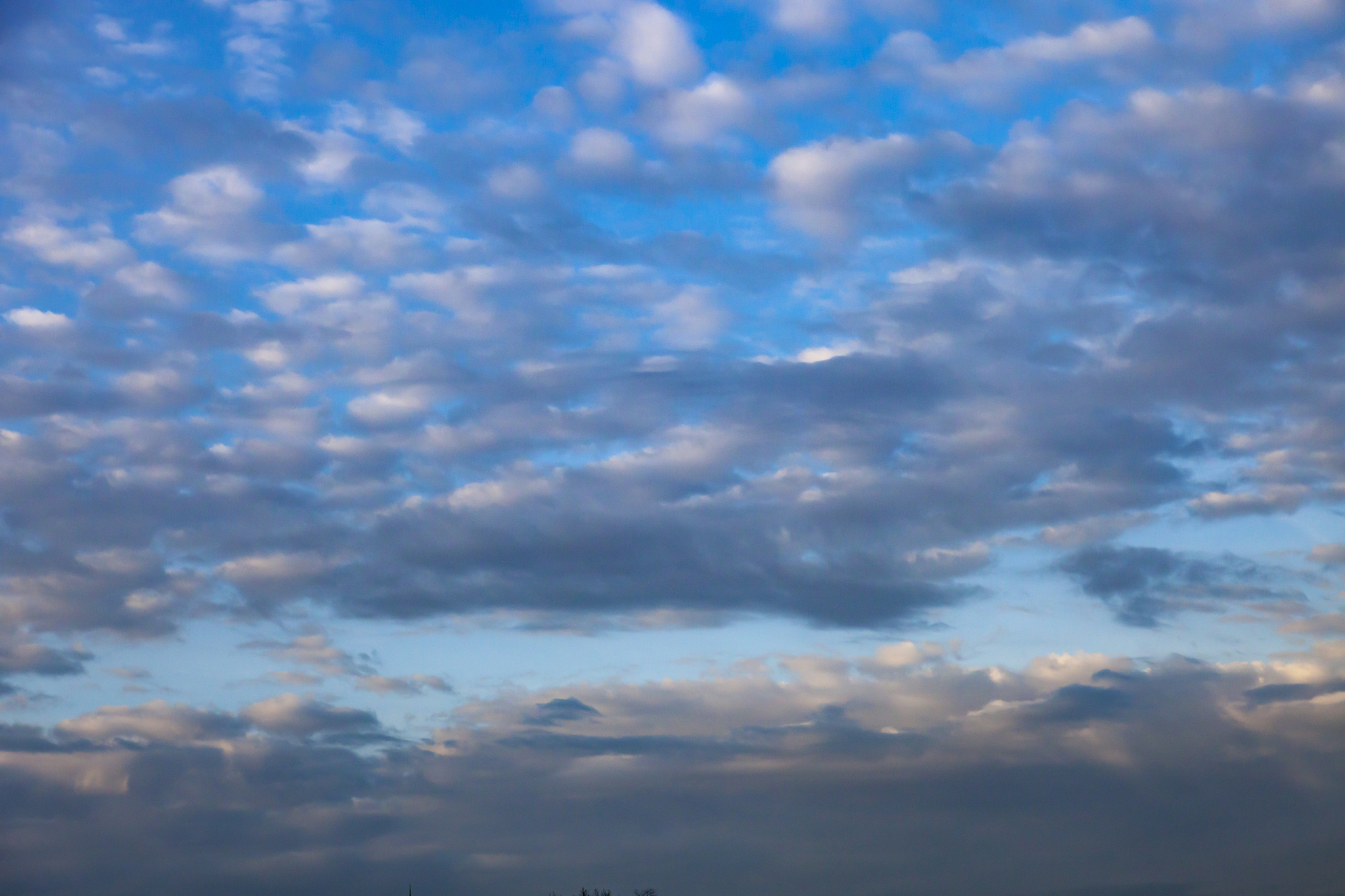 重庆铜梁职业教育中心热门专业：2022年最新排行榜