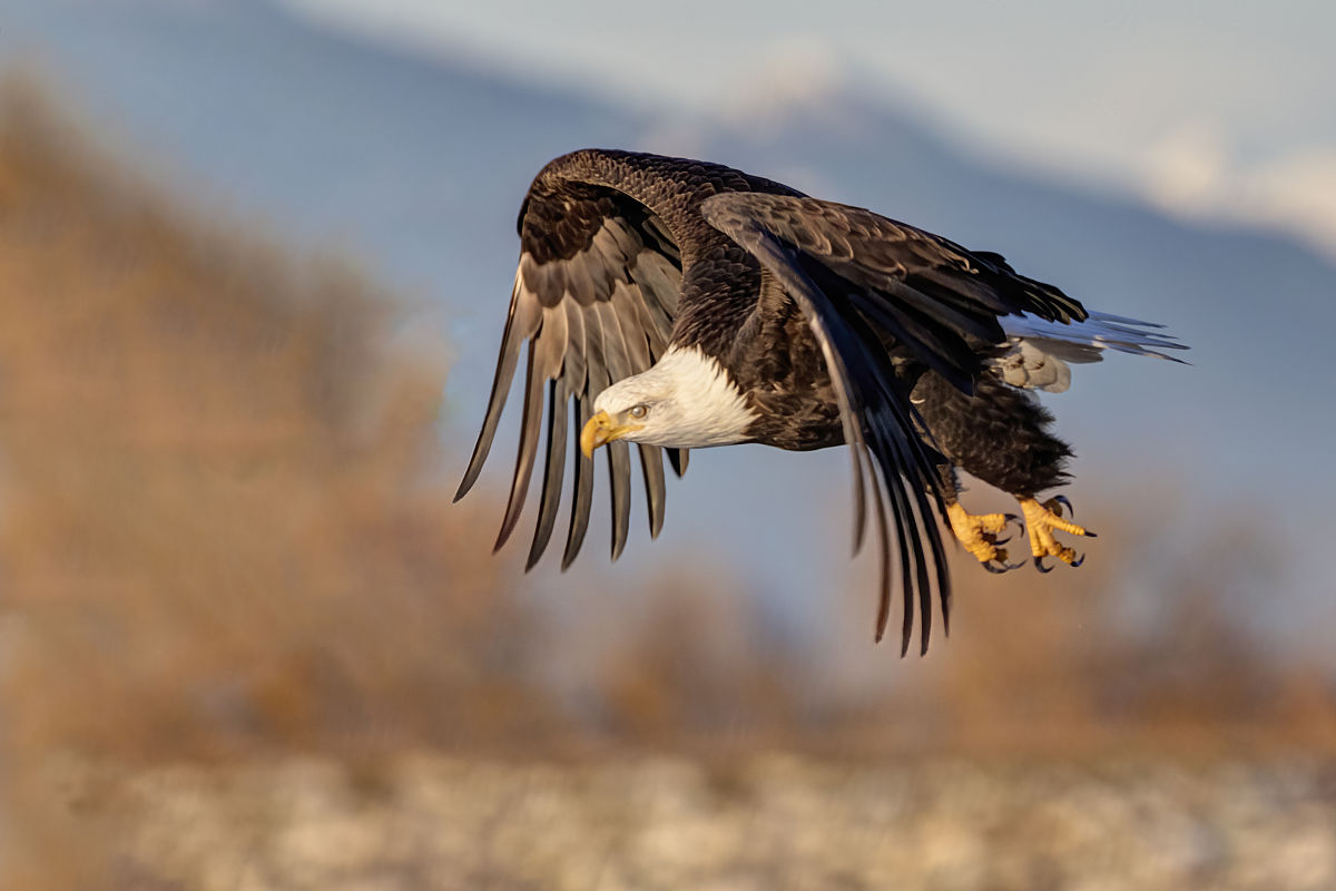 中国民航大学分数线 录取 报考问答