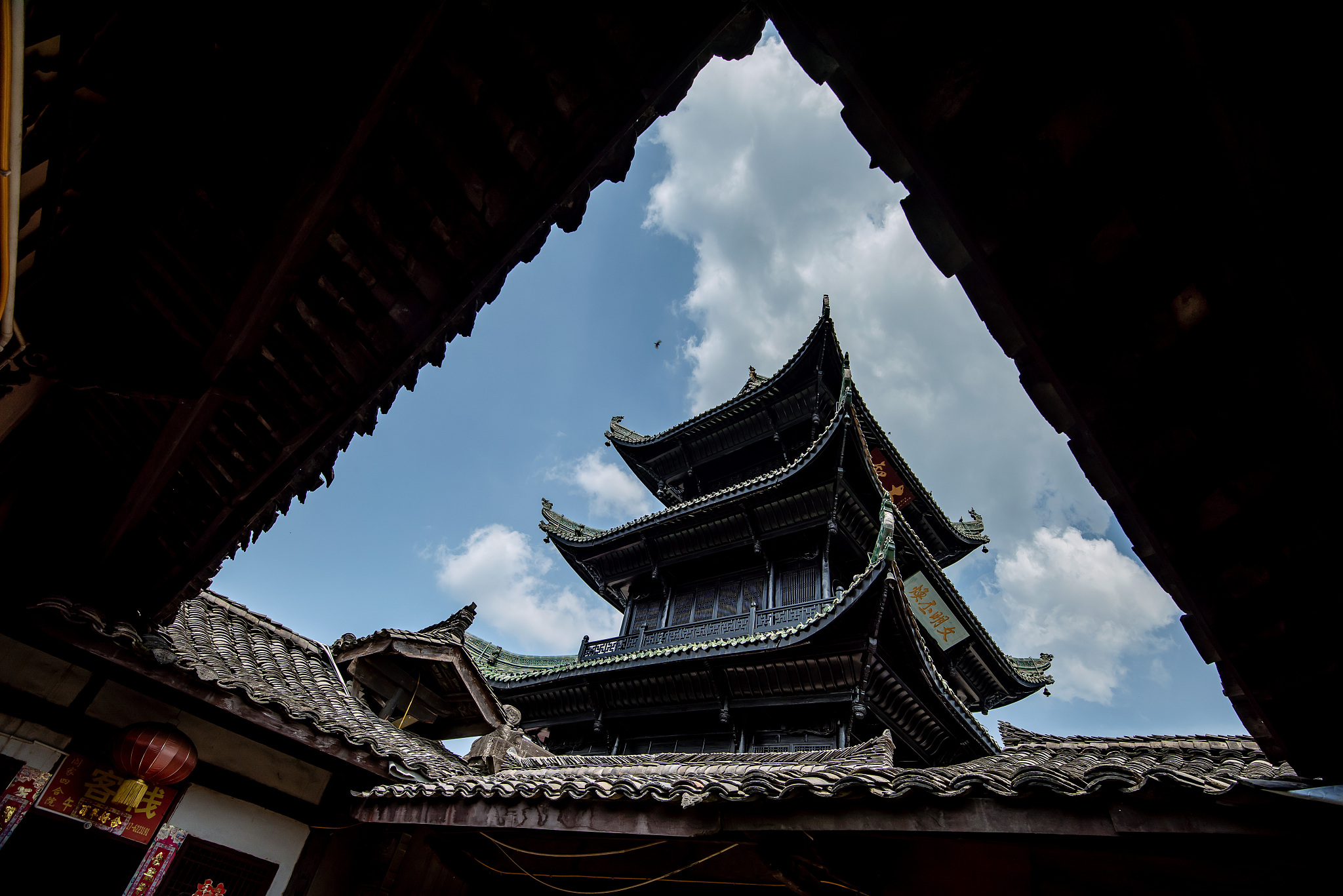 阆中幼师师范学校2020招生简章 - 培养优秀幼儿教师，成就教育梦想