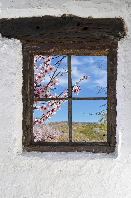 四川省双流建设职业技术学校2021年招生专业有哪些