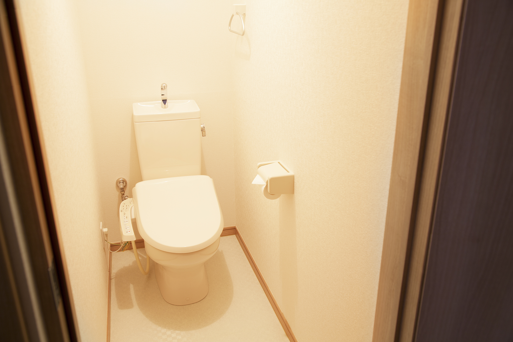 home flush toilet