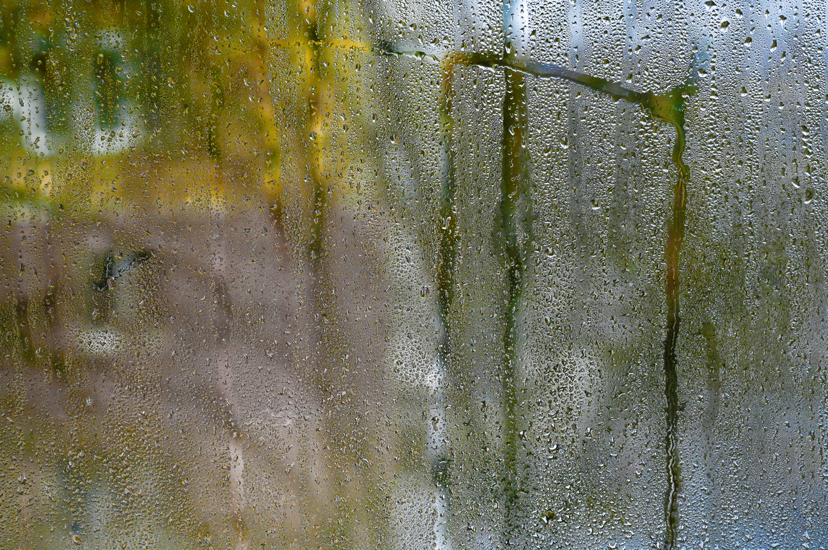 雨丝是什么意思_词语雨丝的意思