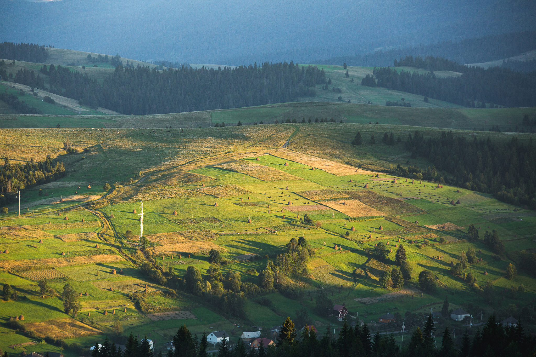 mountain landscape and meadow illuminated by the sun